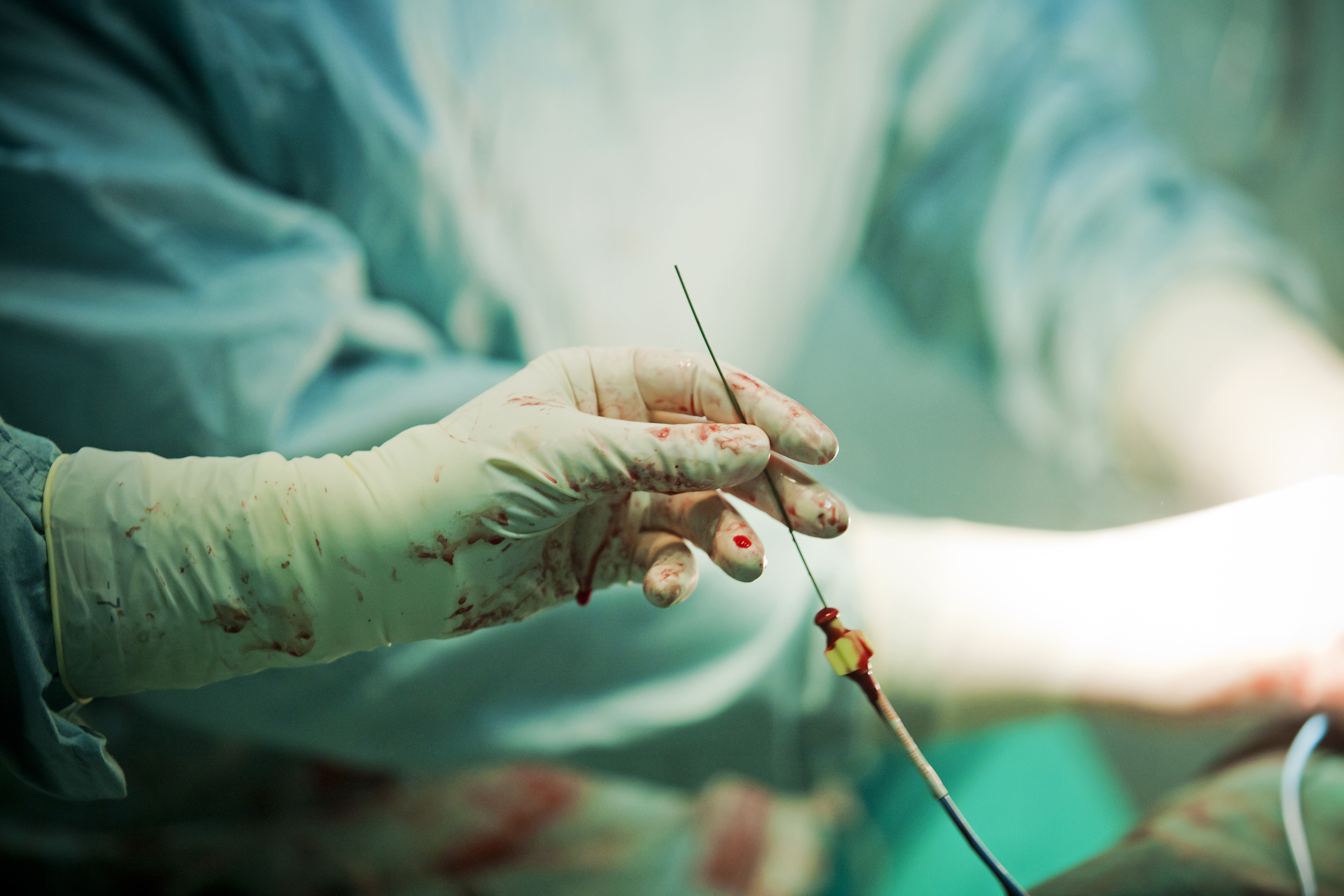 magdalena_sipic3-030512