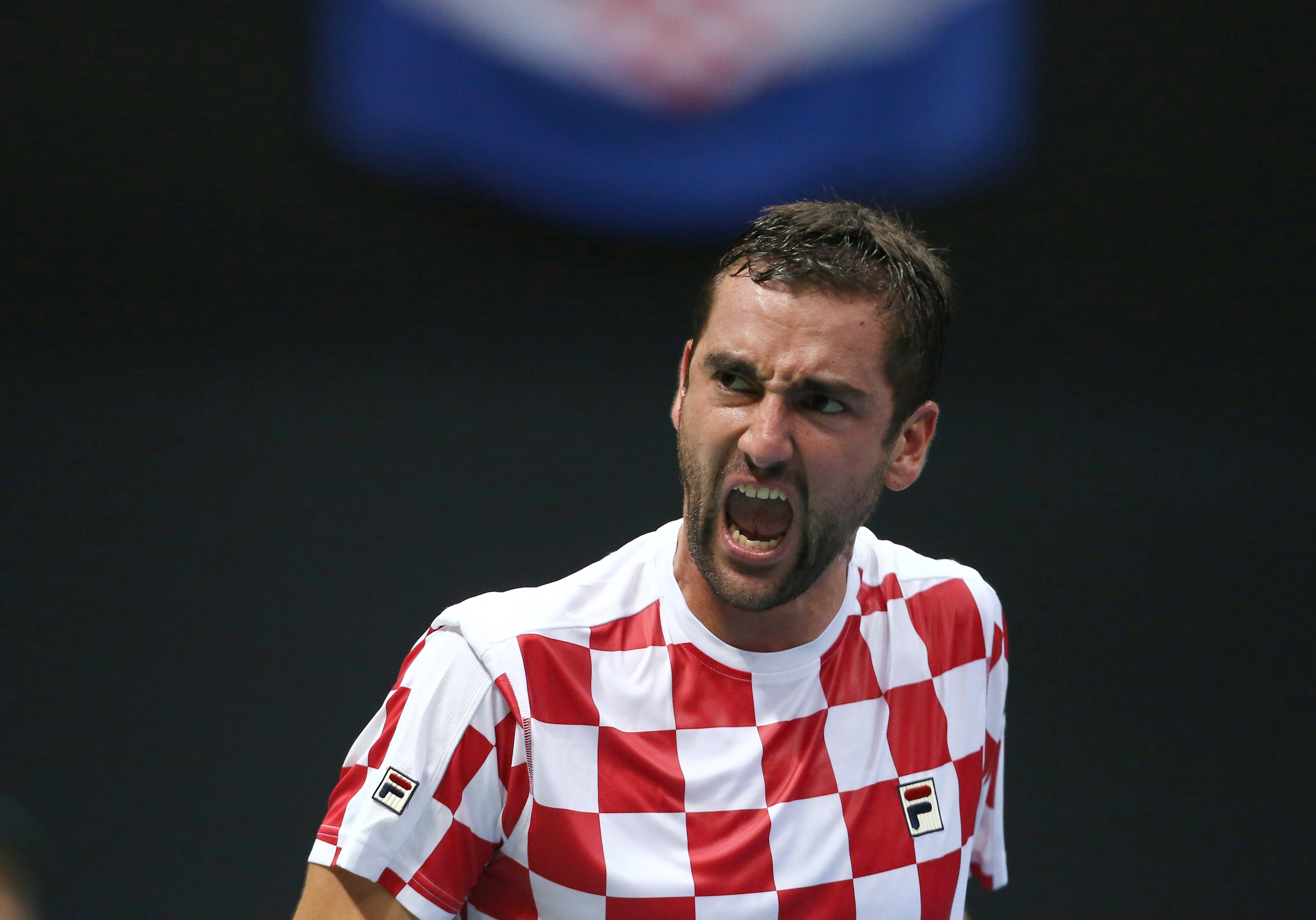Marin Čilić