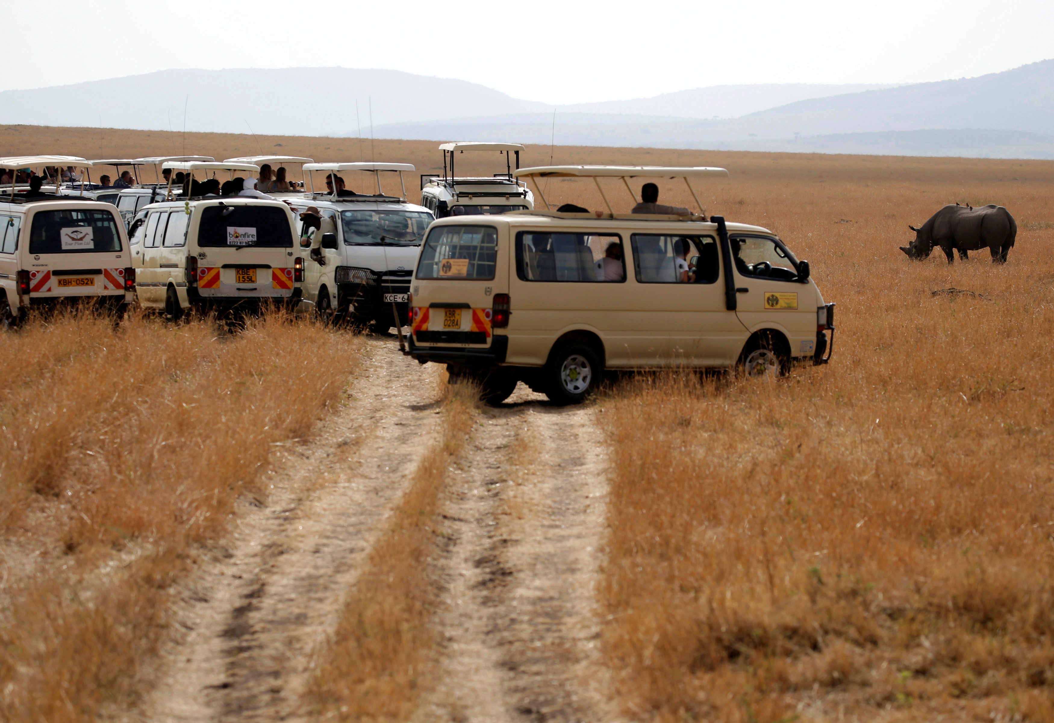 Crni nosorog u Nacionalnom parku Maasai Mara