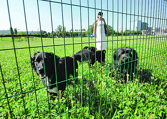 Na fotografiji: Potrgana ograda šetališta za pse povezana plastičnim vezicama.