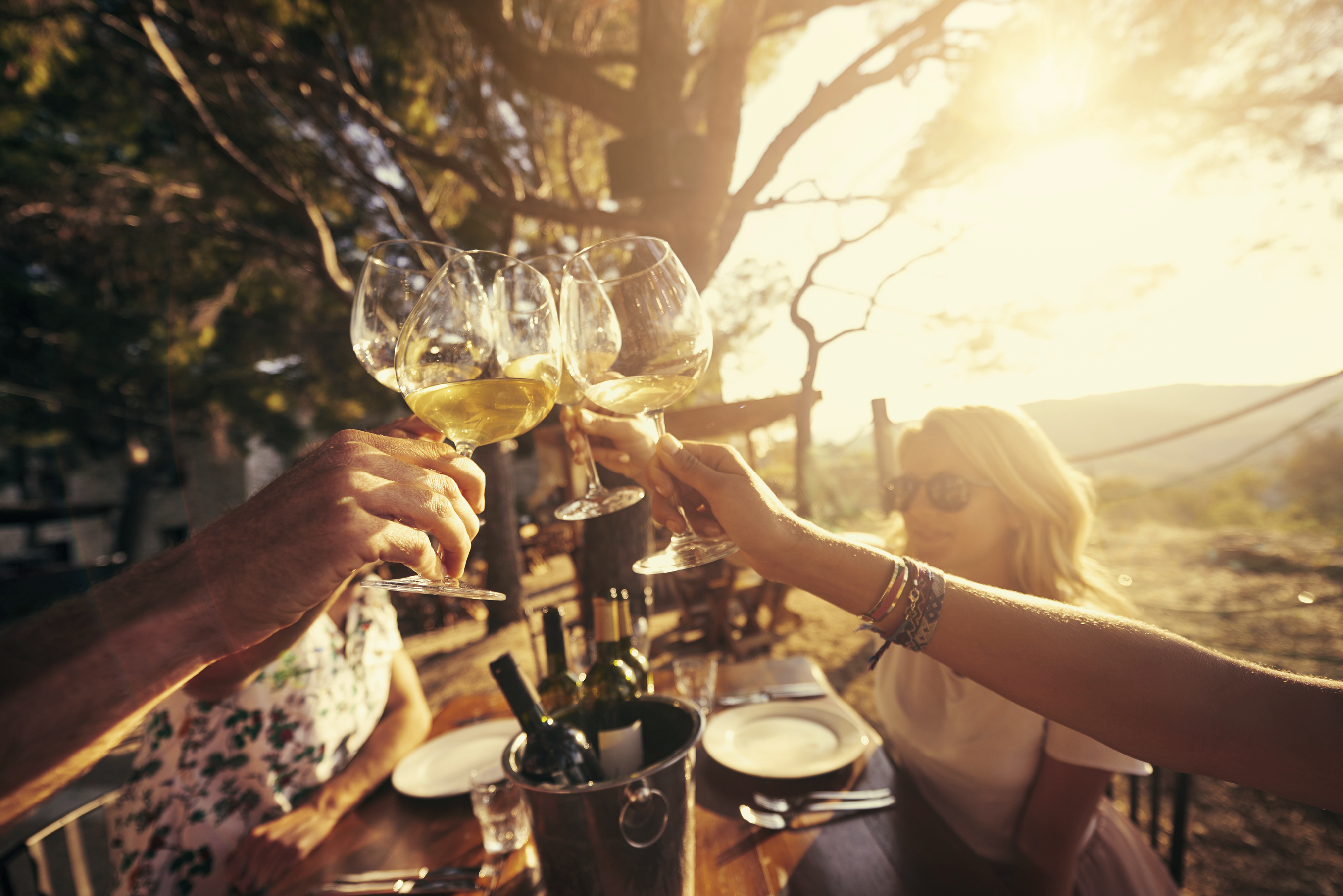 iStock_75434131_LARGE