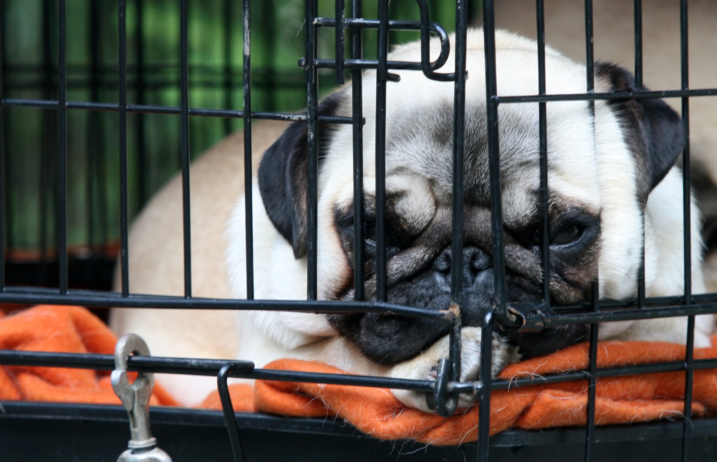 mops-080607
