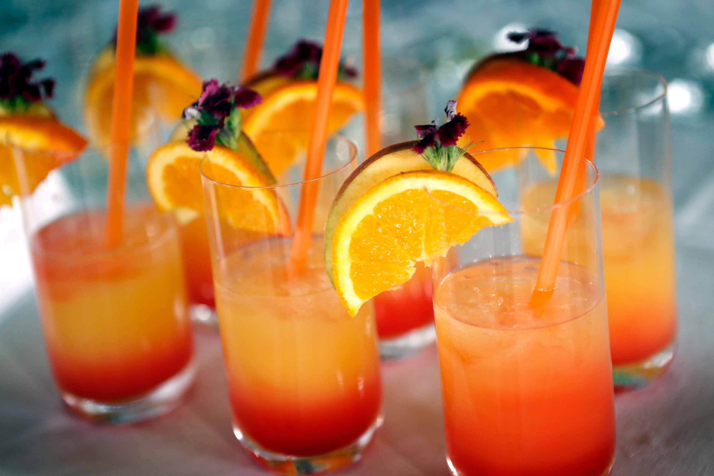 gastro_spicek1-150515