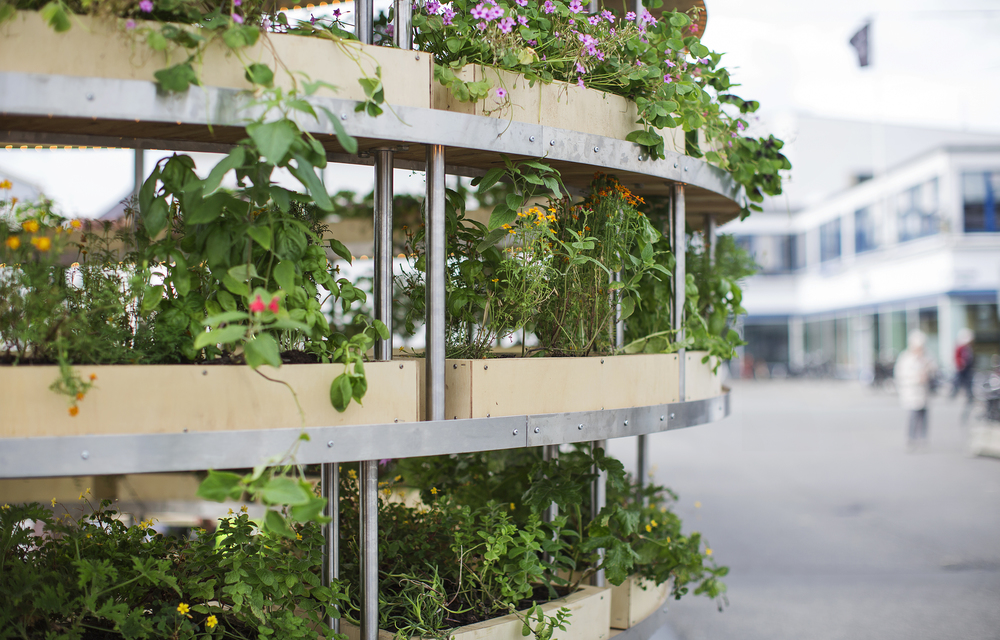 medium_Photo_AlonaVibe_MG_3583