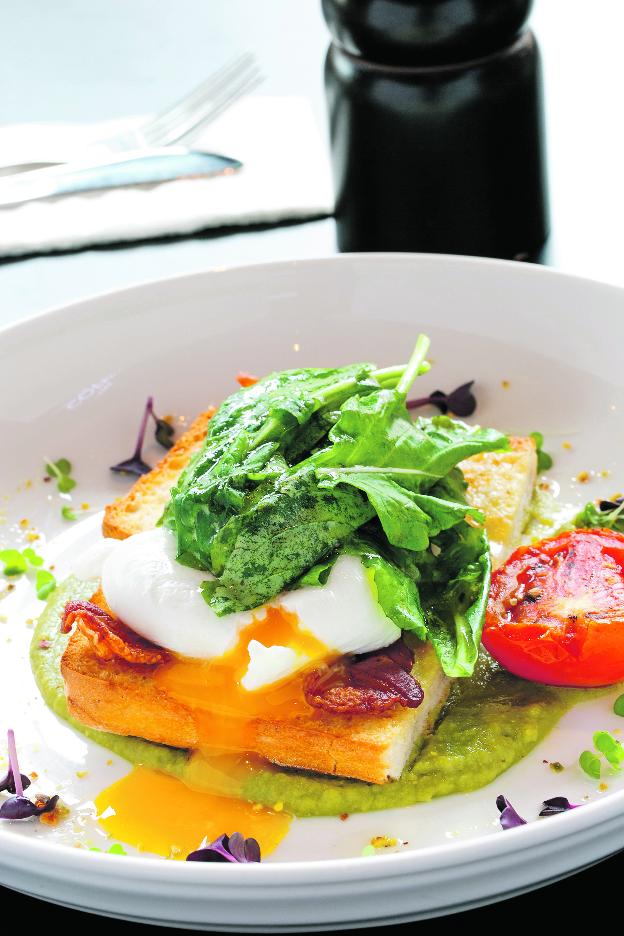 81404-106032-shutterstock_196857248