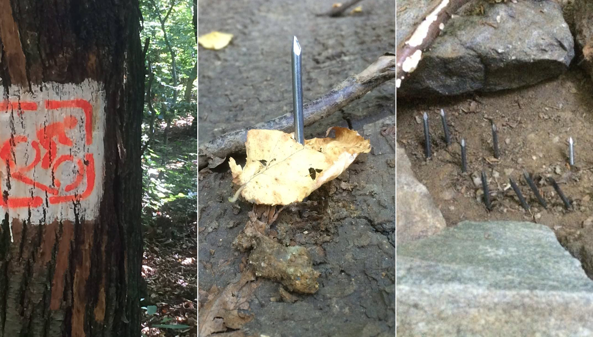 biciklističke-staze