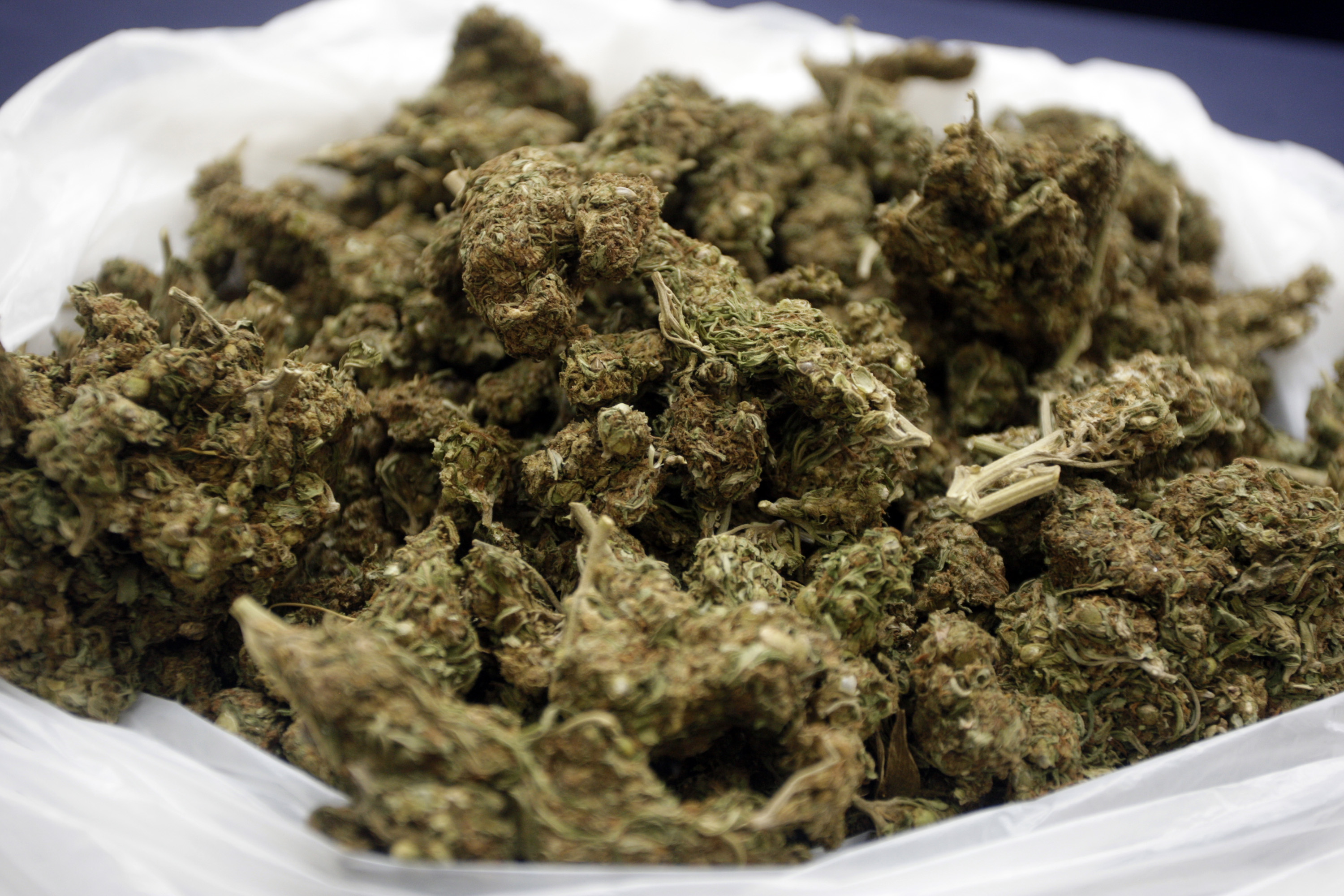 marihuana_varazdin-230810