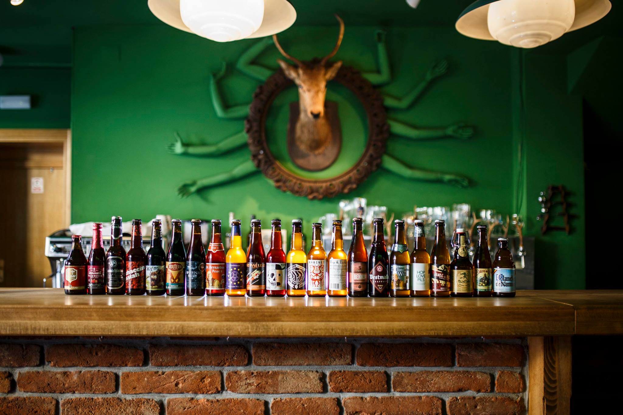 13937872_1143978192340281_2665787250734025617_o.bin