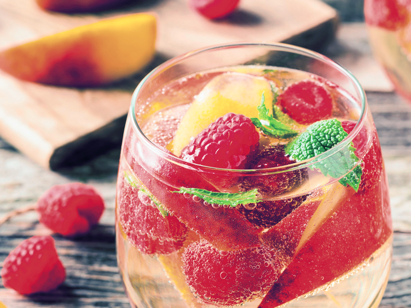 naslovna_sangria.bin