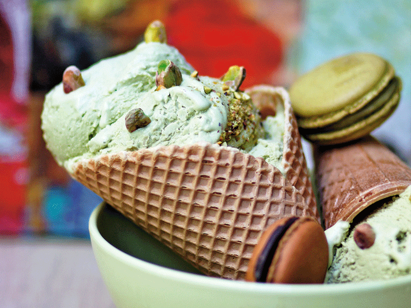 naslovnasladoled.bin