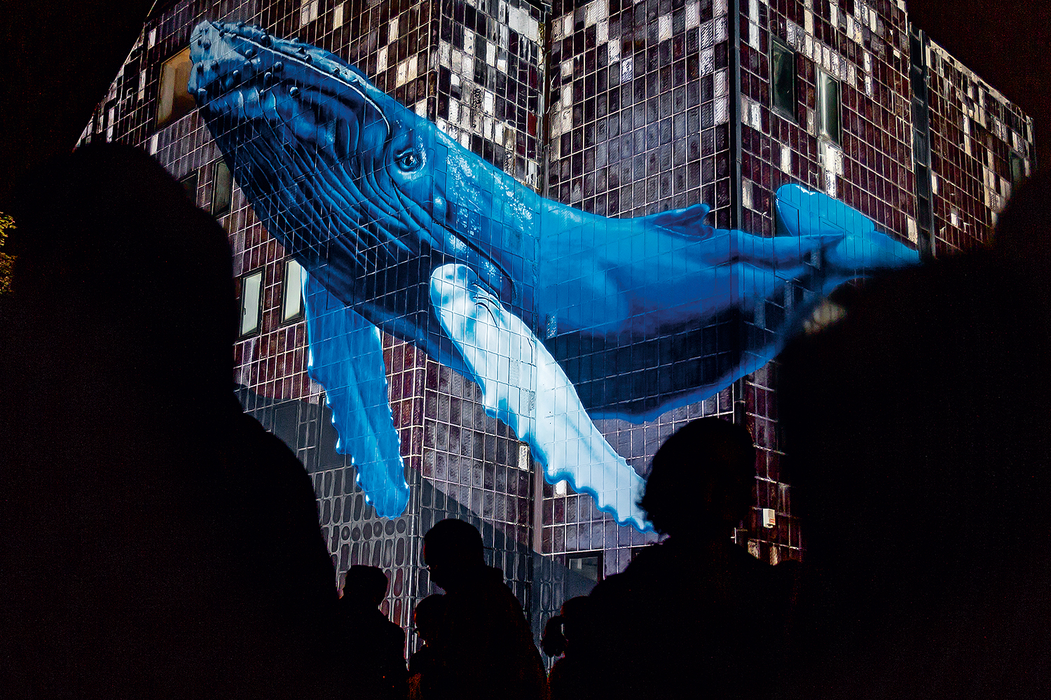 dr_62285-srgb-1500px.bin