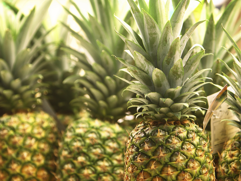 istock_000003162425_large.bin