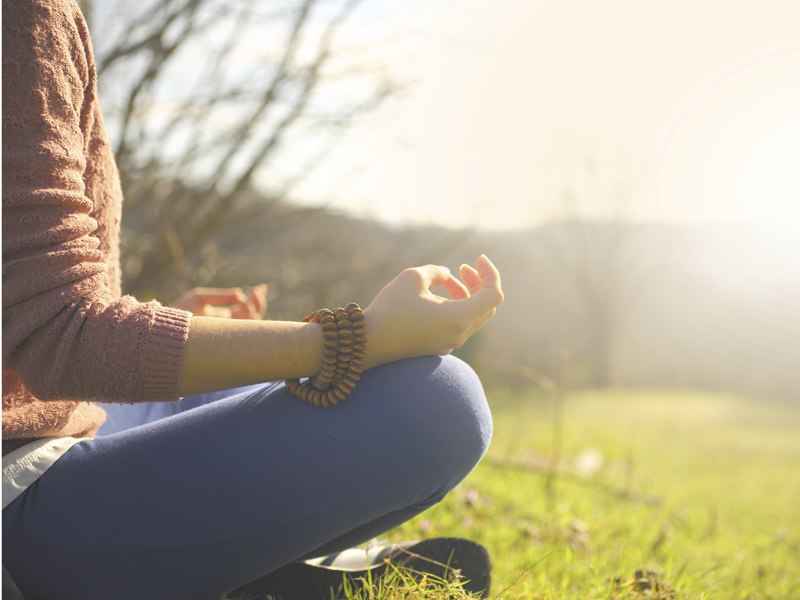 istock_000088656491_full.bin