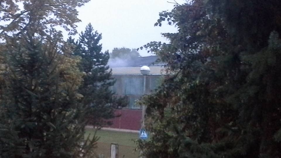 14232408_1155289317847660_3930732595608999103_n