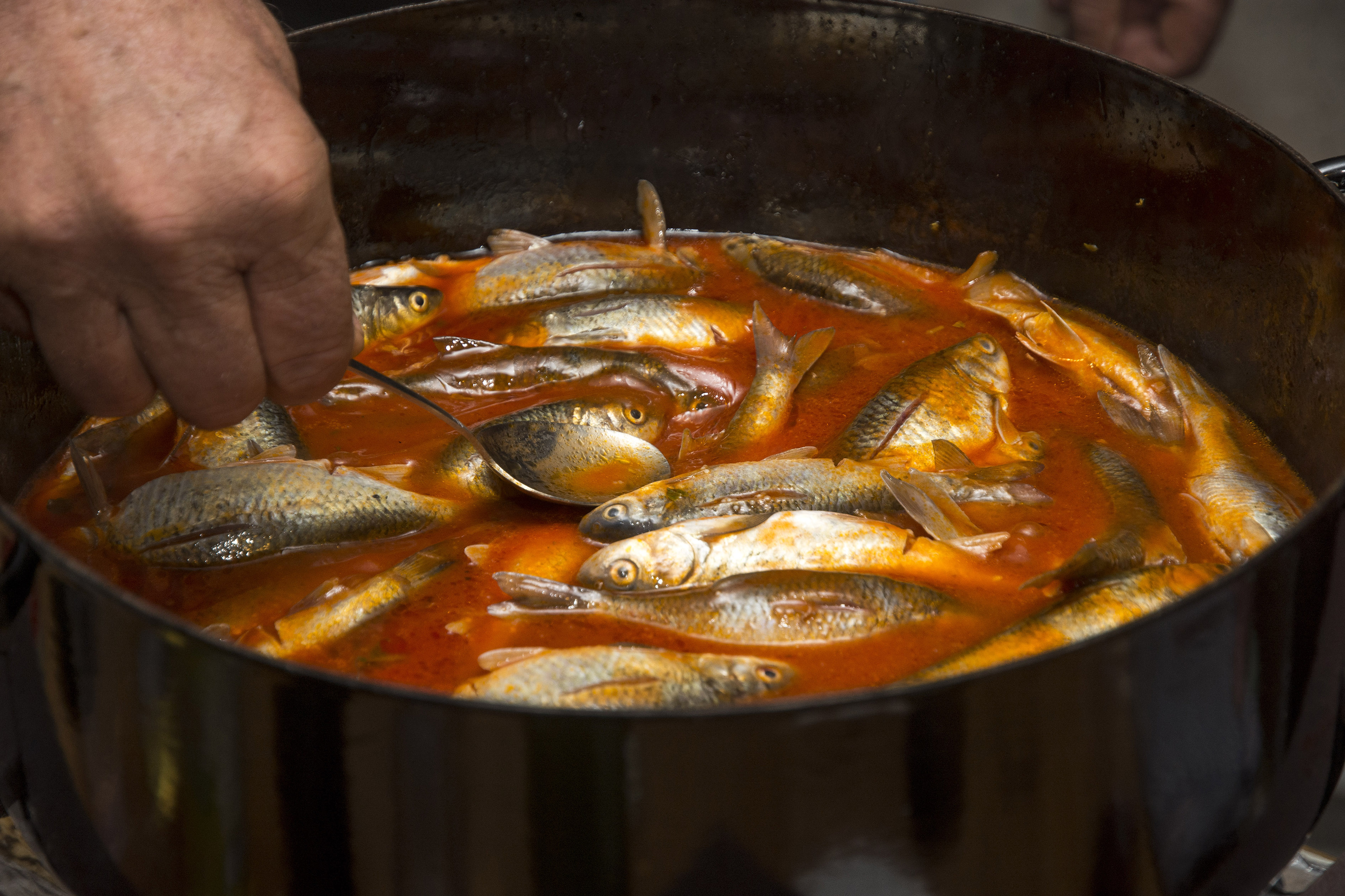 ploticijada_opuzen2-270216