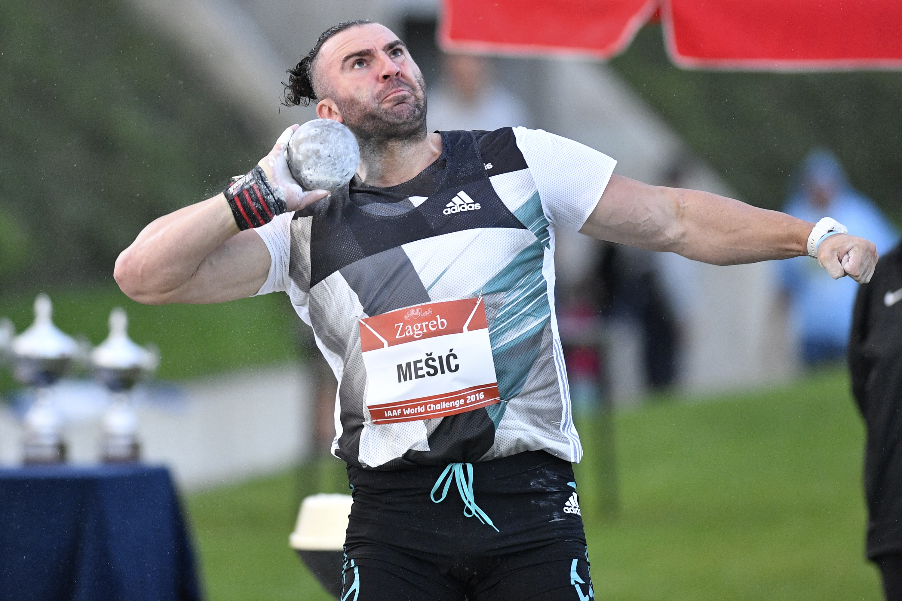 memoriajl_ivancic4-050916