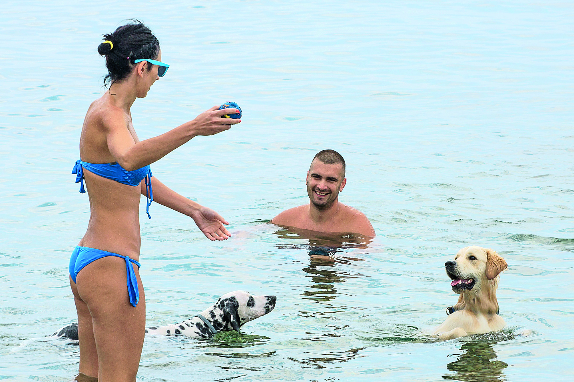 rijeka-pseca-plaza2-260714