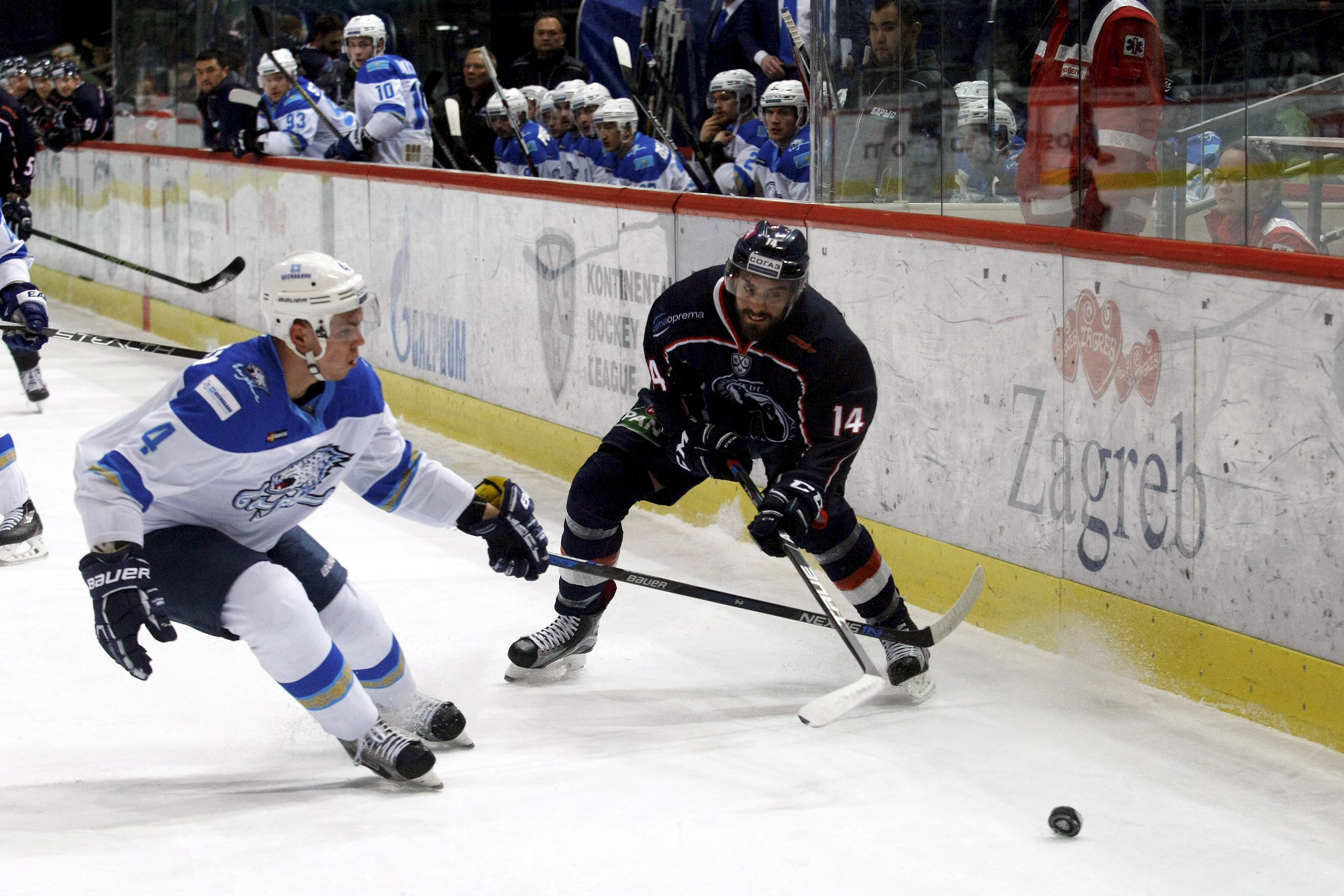 medvescak_barys-110117