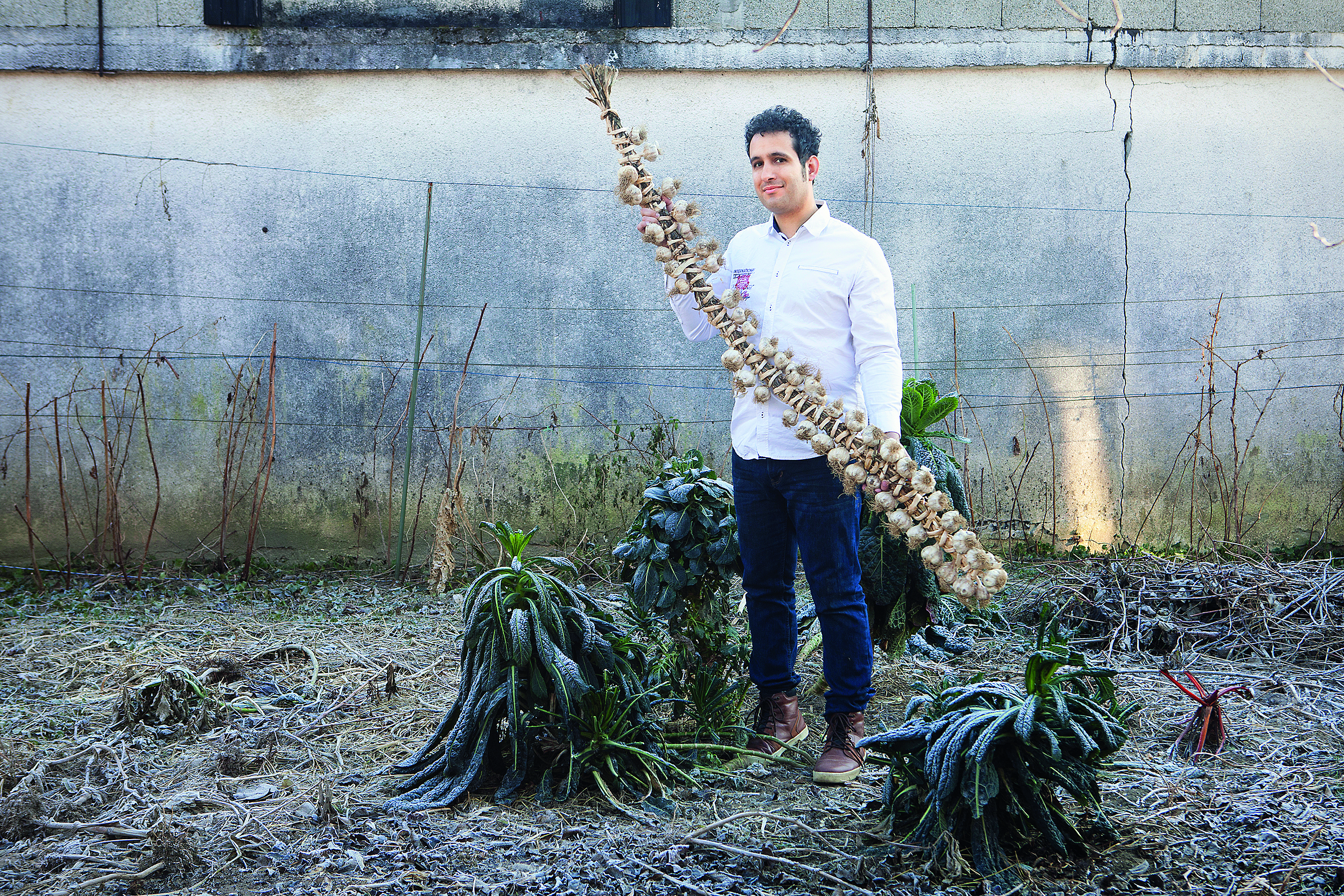 cesnjak-knezevic12302016002