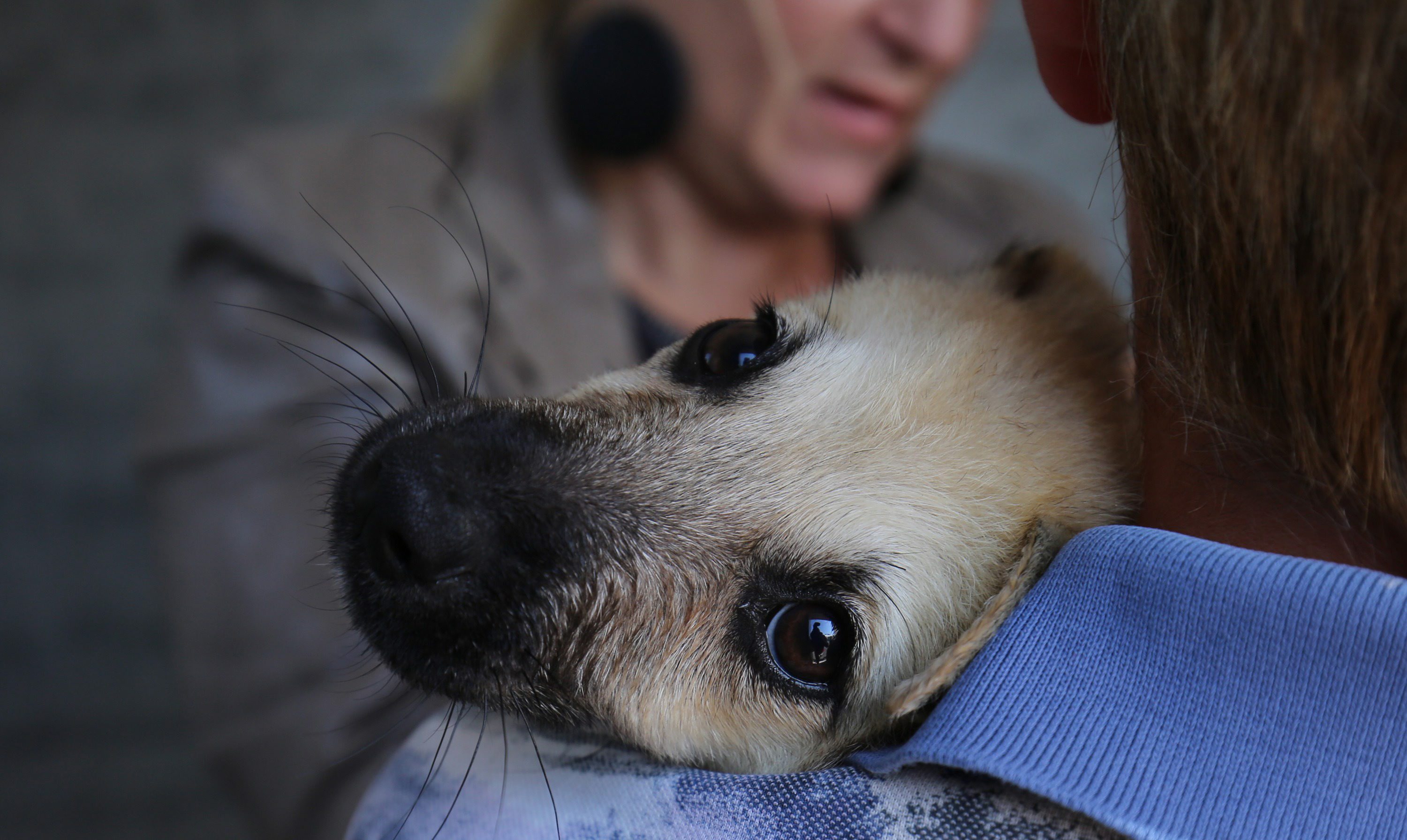 Ilustrativna fotografija