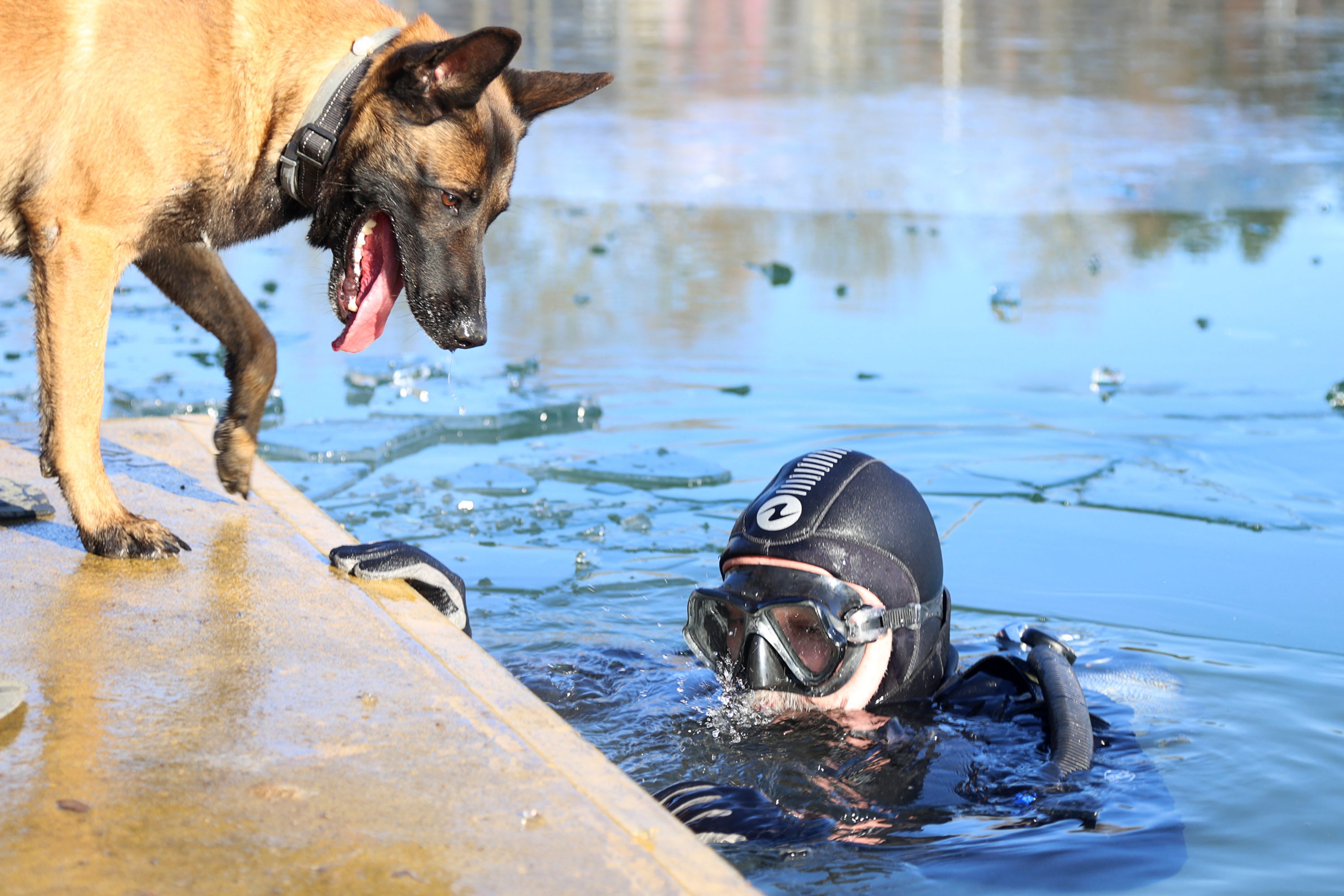 novogodisnje_ronjenje3-010117