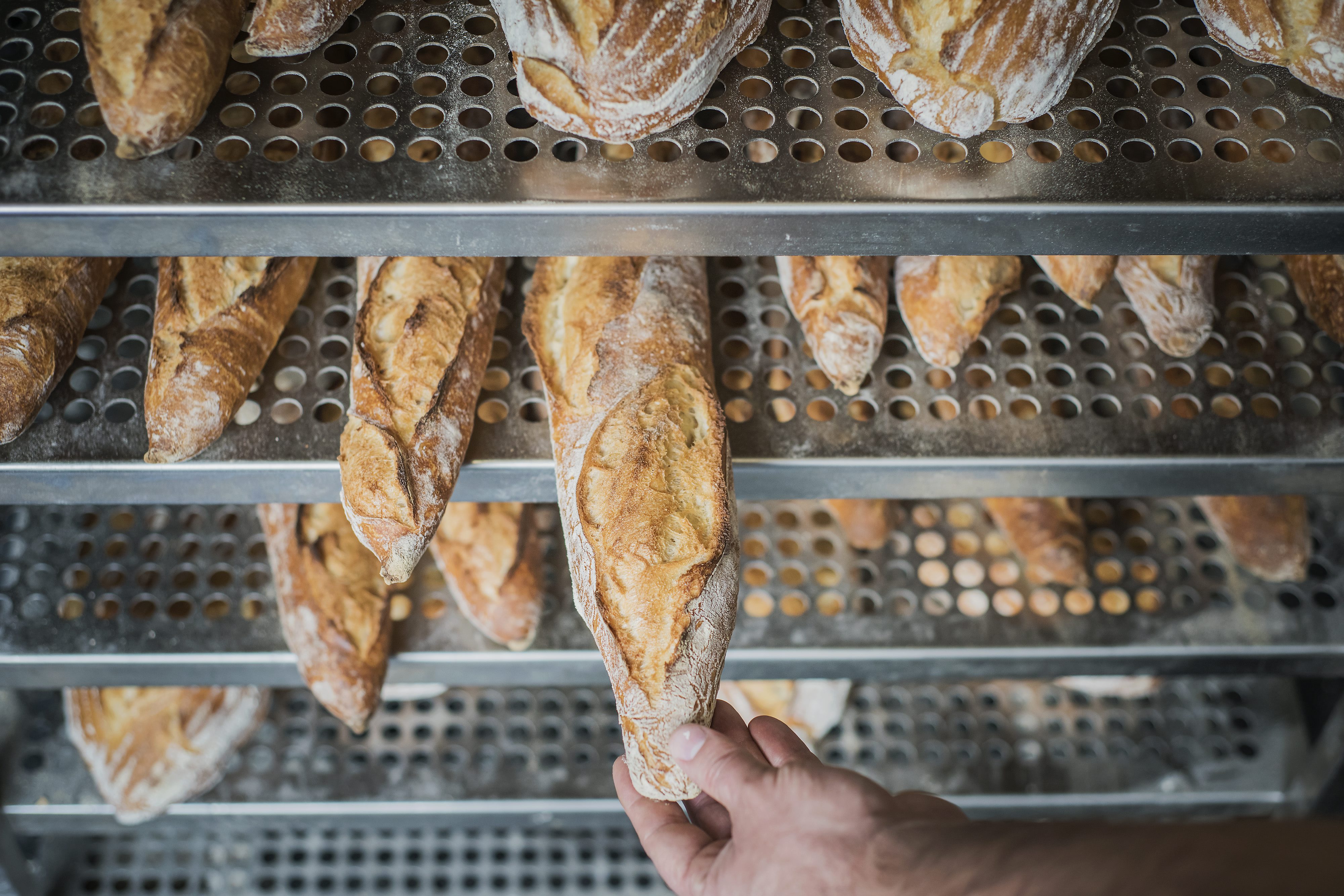 korica_pekara15-170117