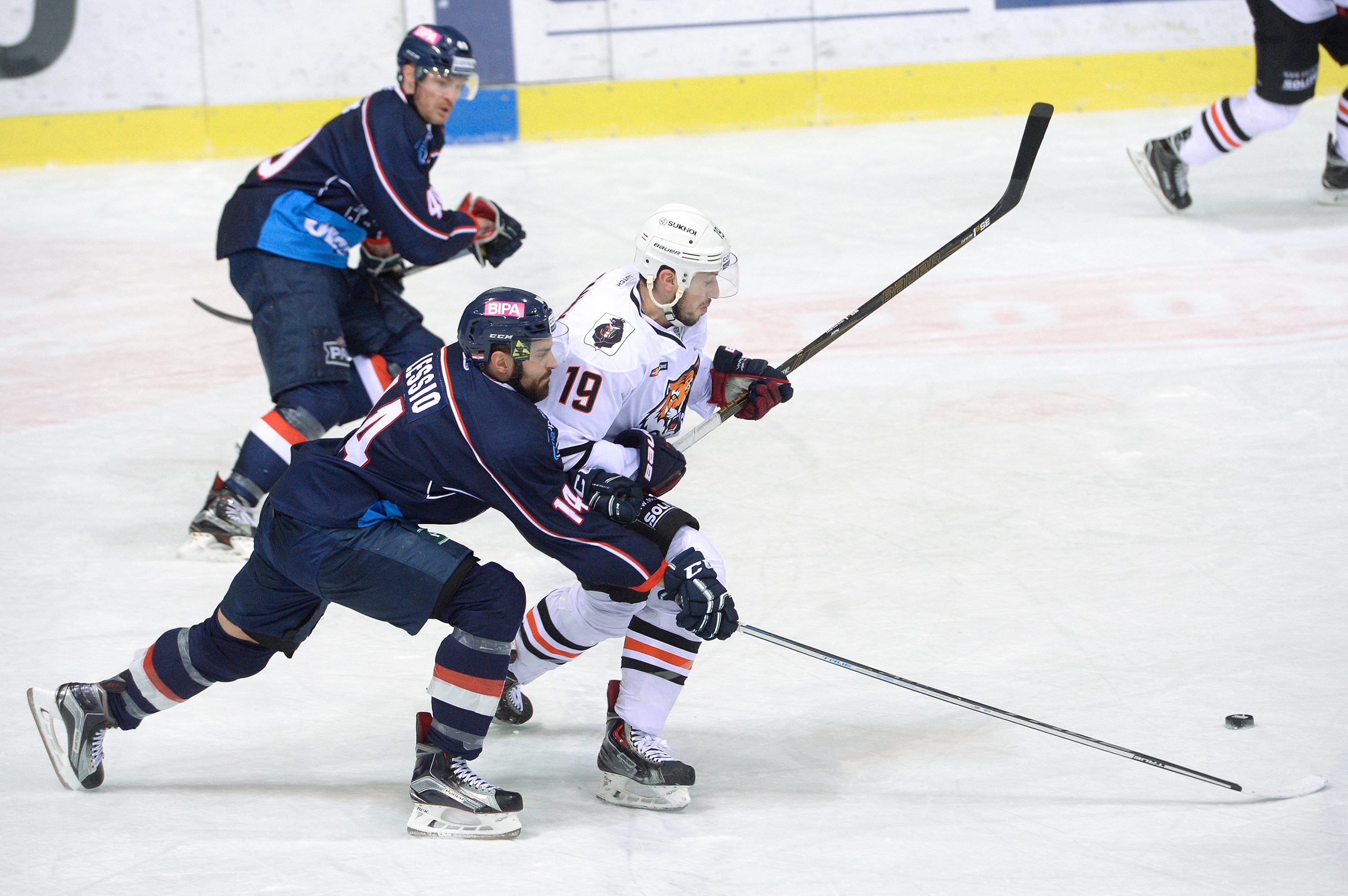 medvescak_amur1-050116