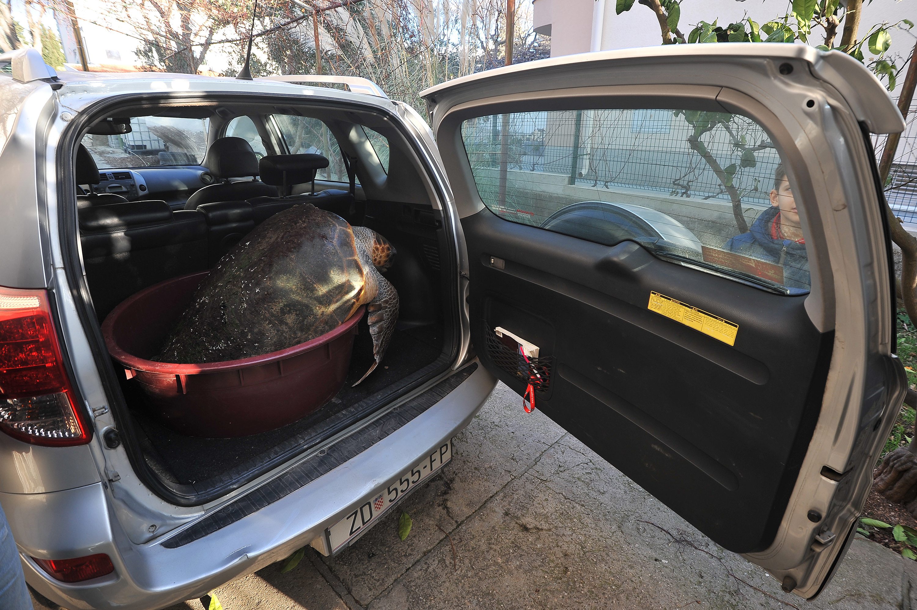 zelva_nasukana1-090116