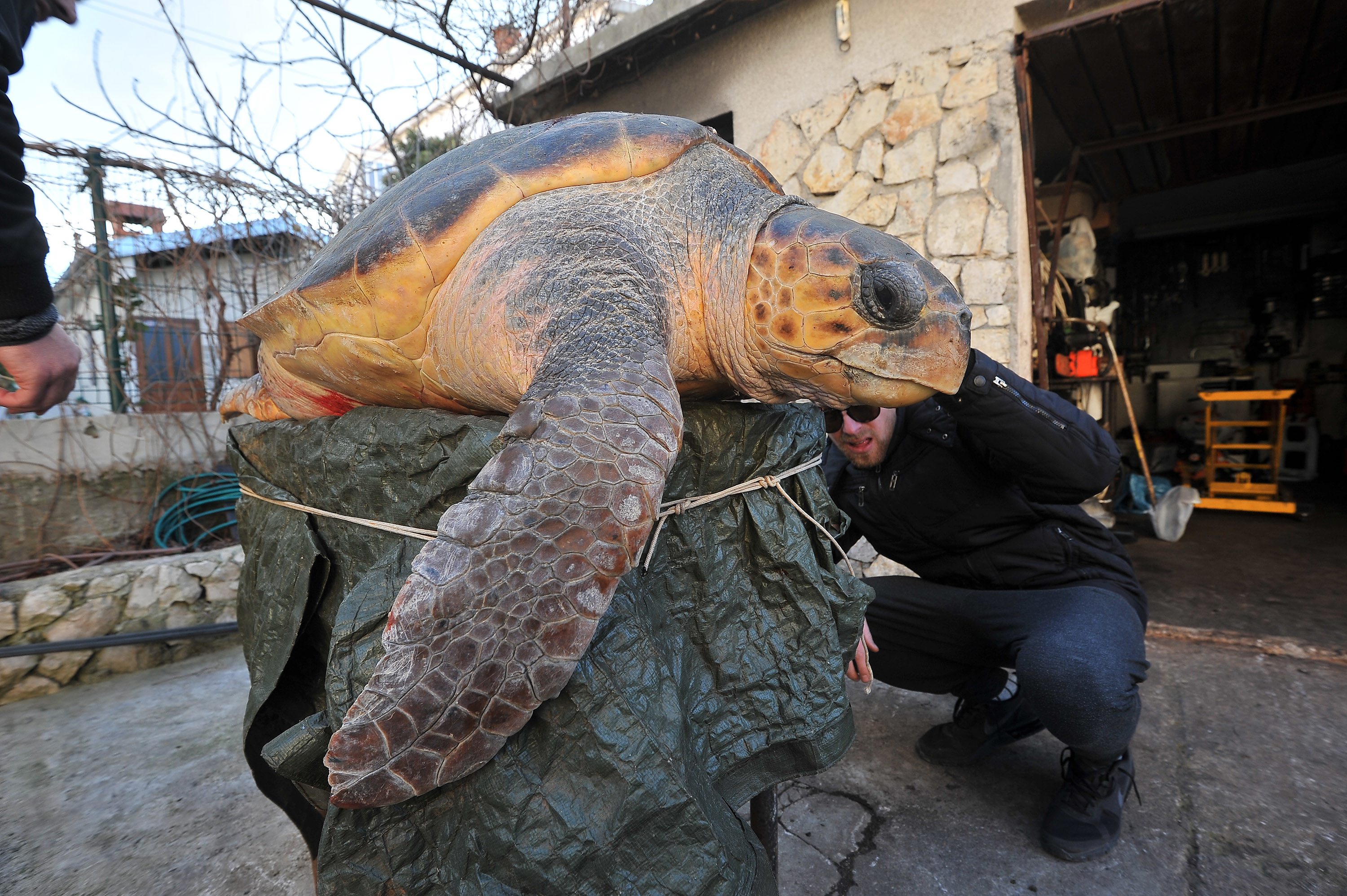 zelva_nasukana6-090116