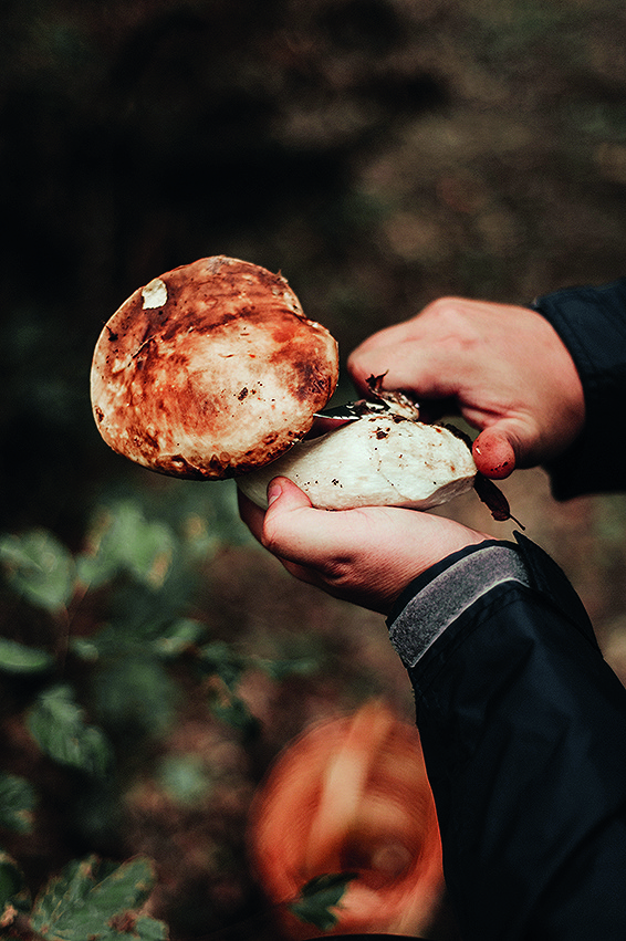Sve što vam treba je nožić.