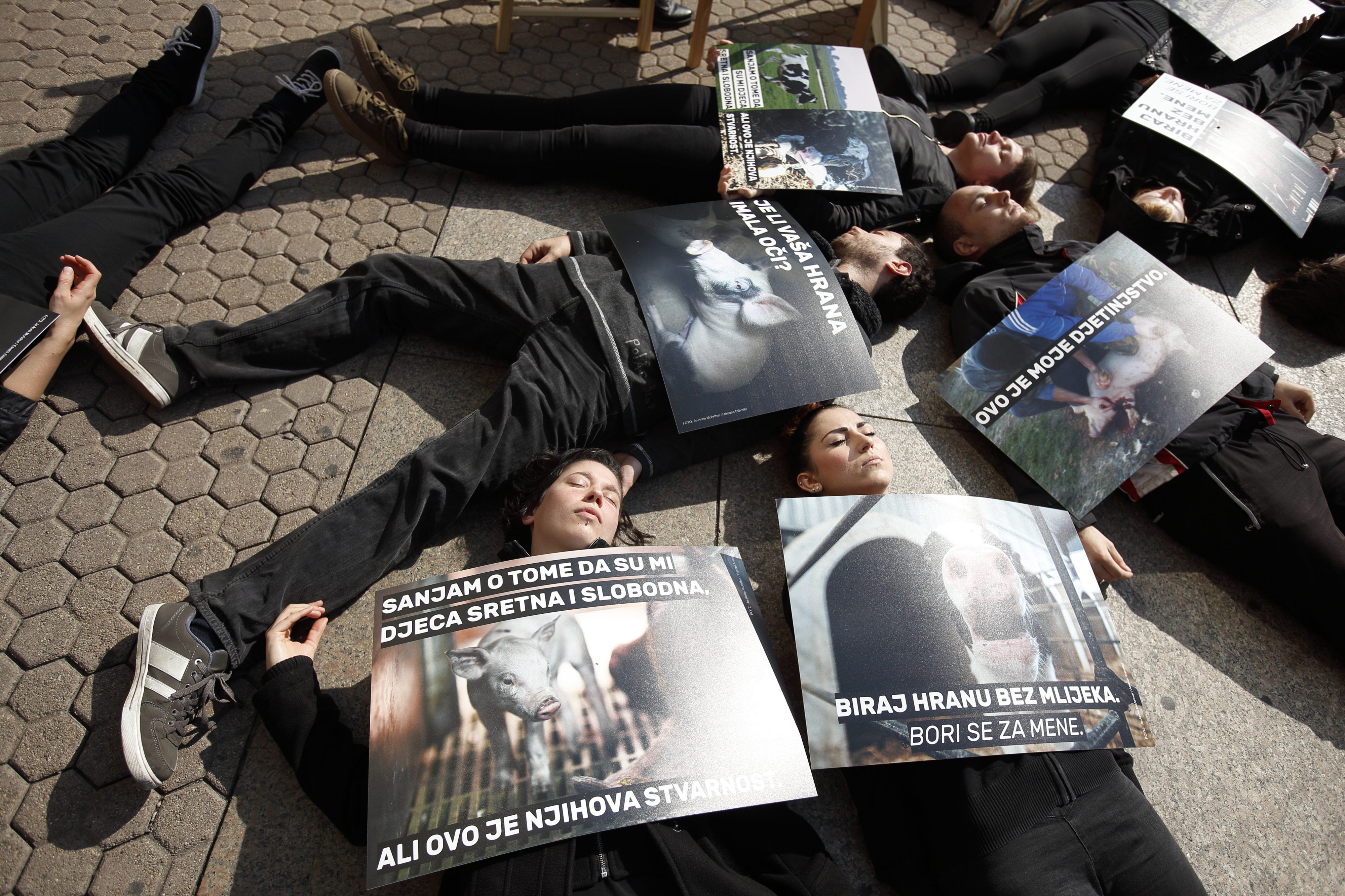 preko_leseva7-021017