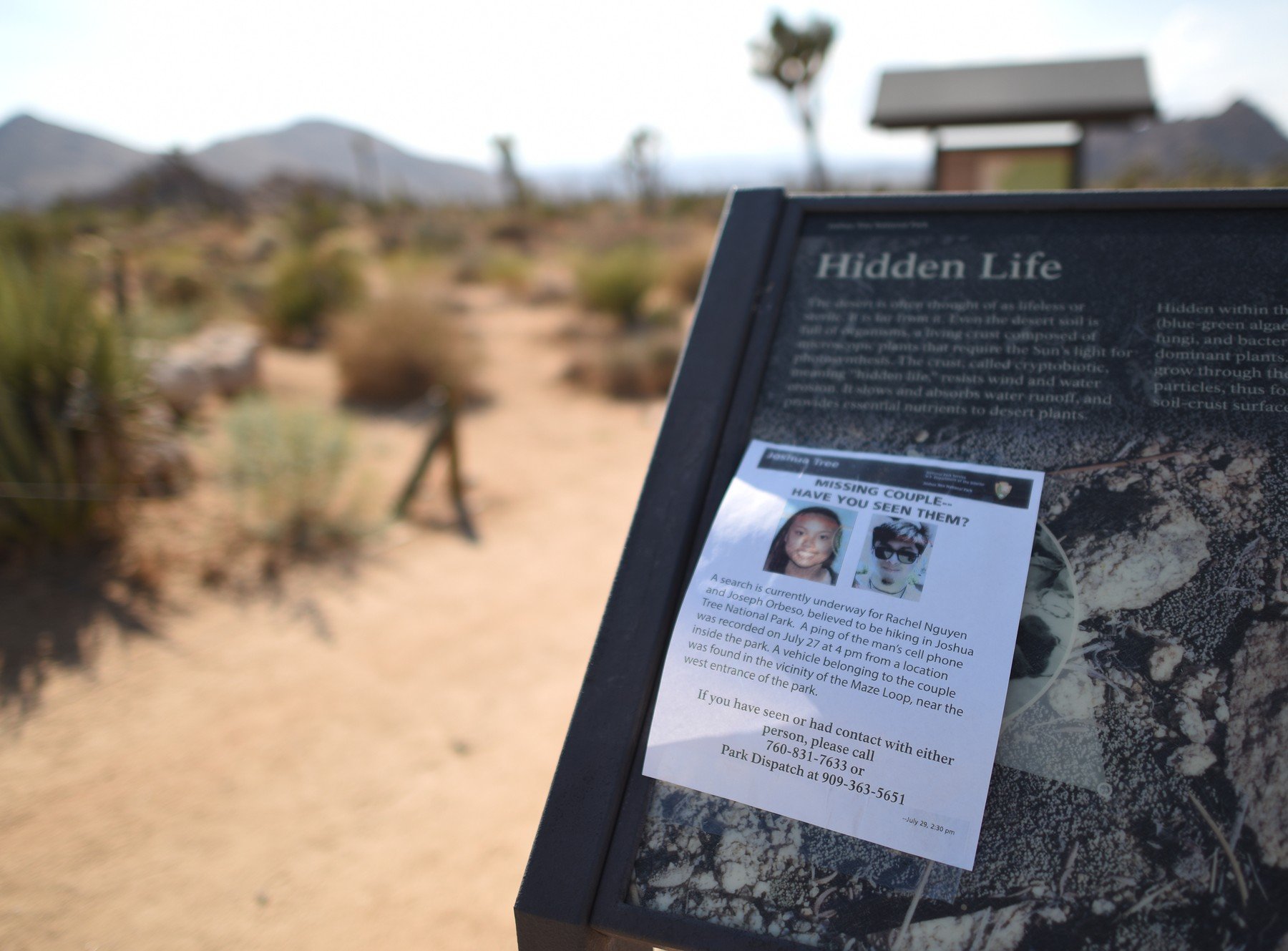 Nestali na ploči u nacionalnom parku Joshua Tree