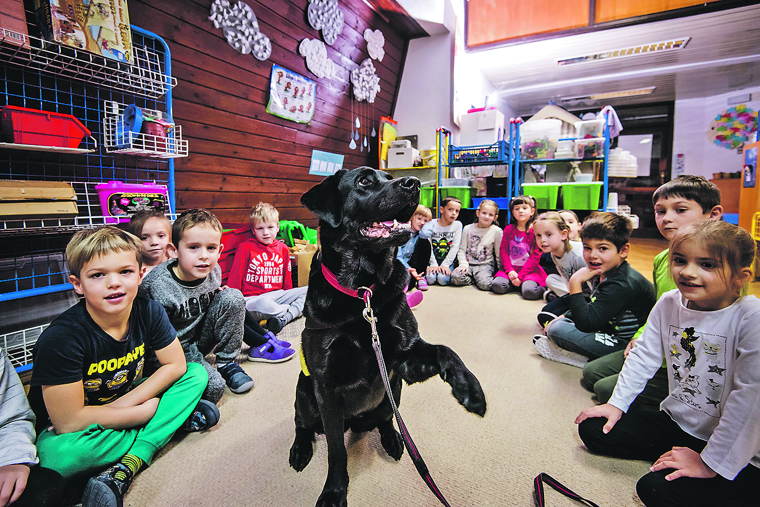 150981-193967-636443767316286197terapijski_pas10-231017