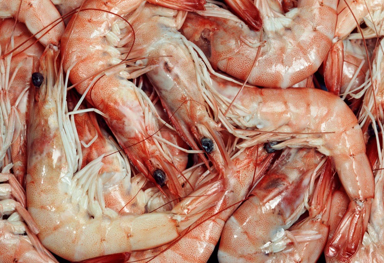 profimedia-0315519385