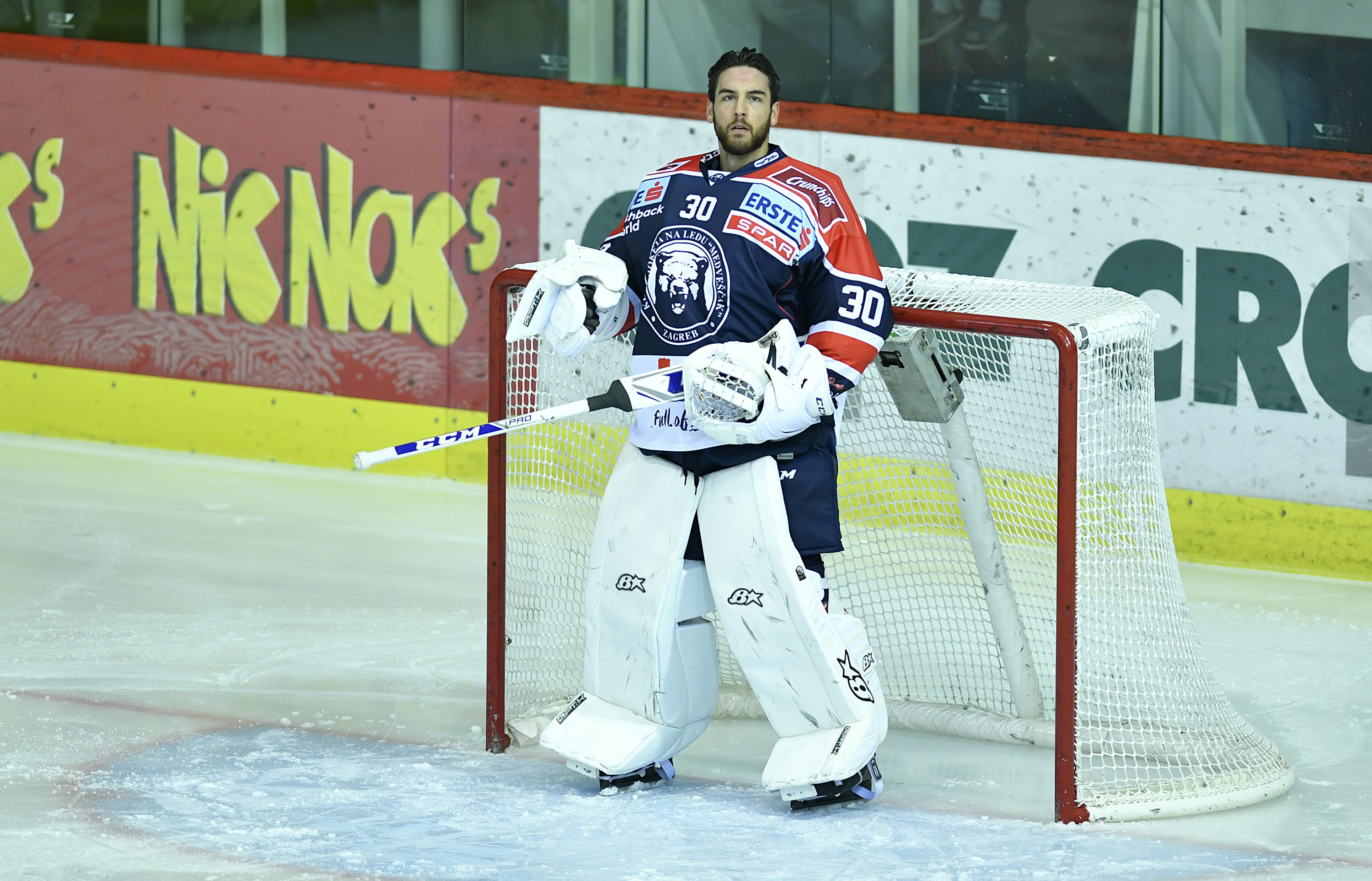 medvescak_vienna-261017