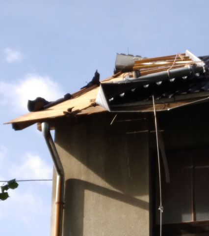 Ogulin šteta crijep