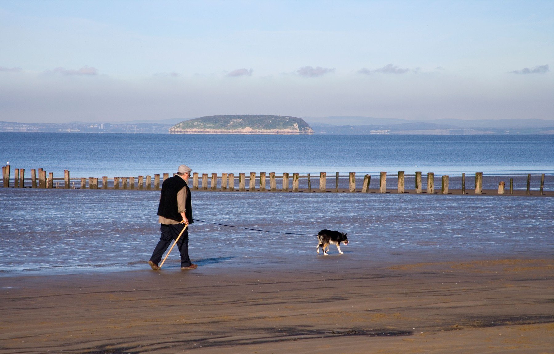 Ilustracija: Šetač pasa na plaži Brean u Somersetu