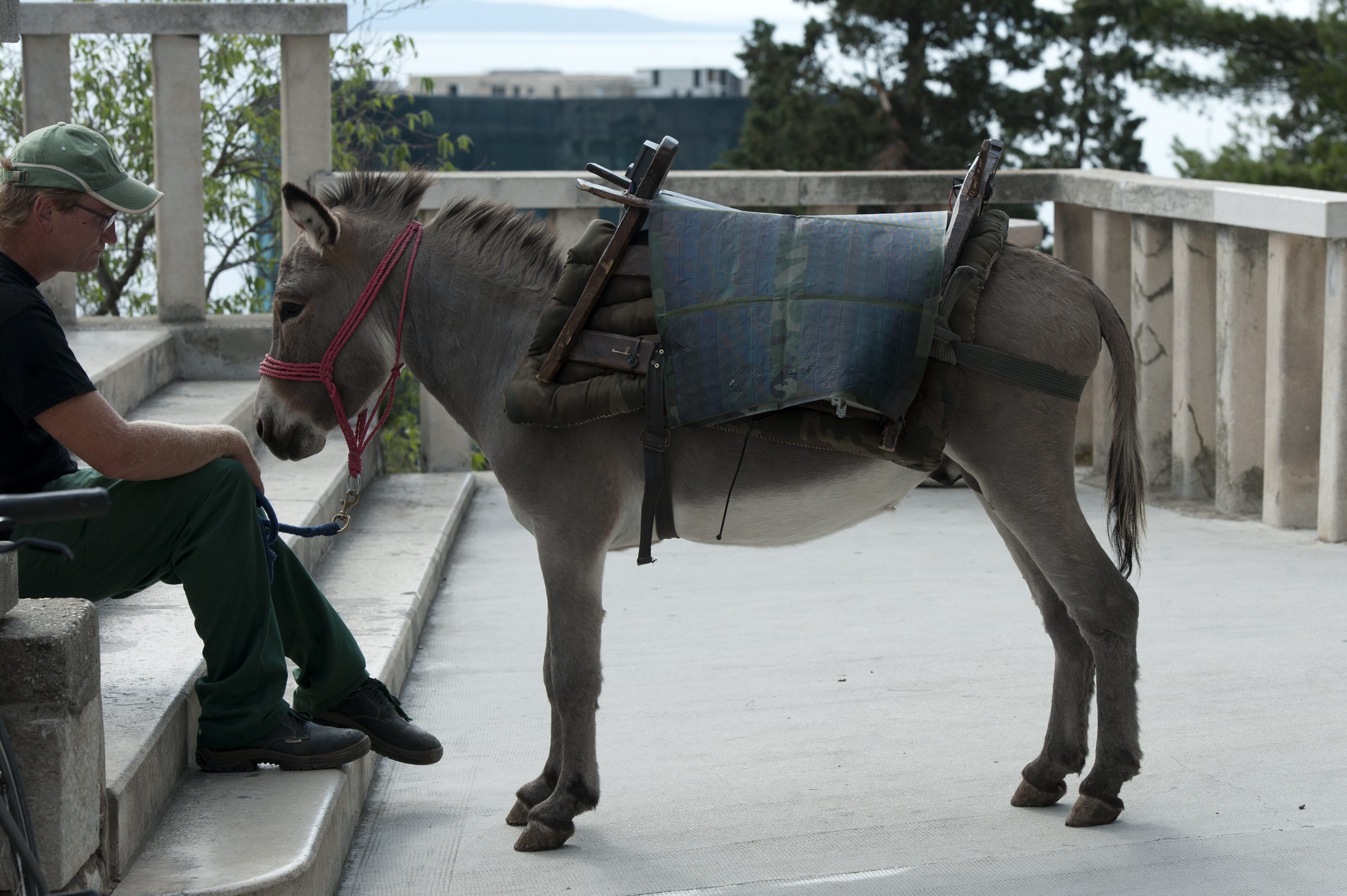 solarni_tovar1-051017