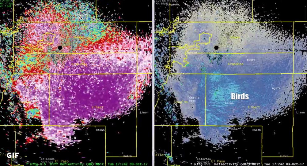 radar