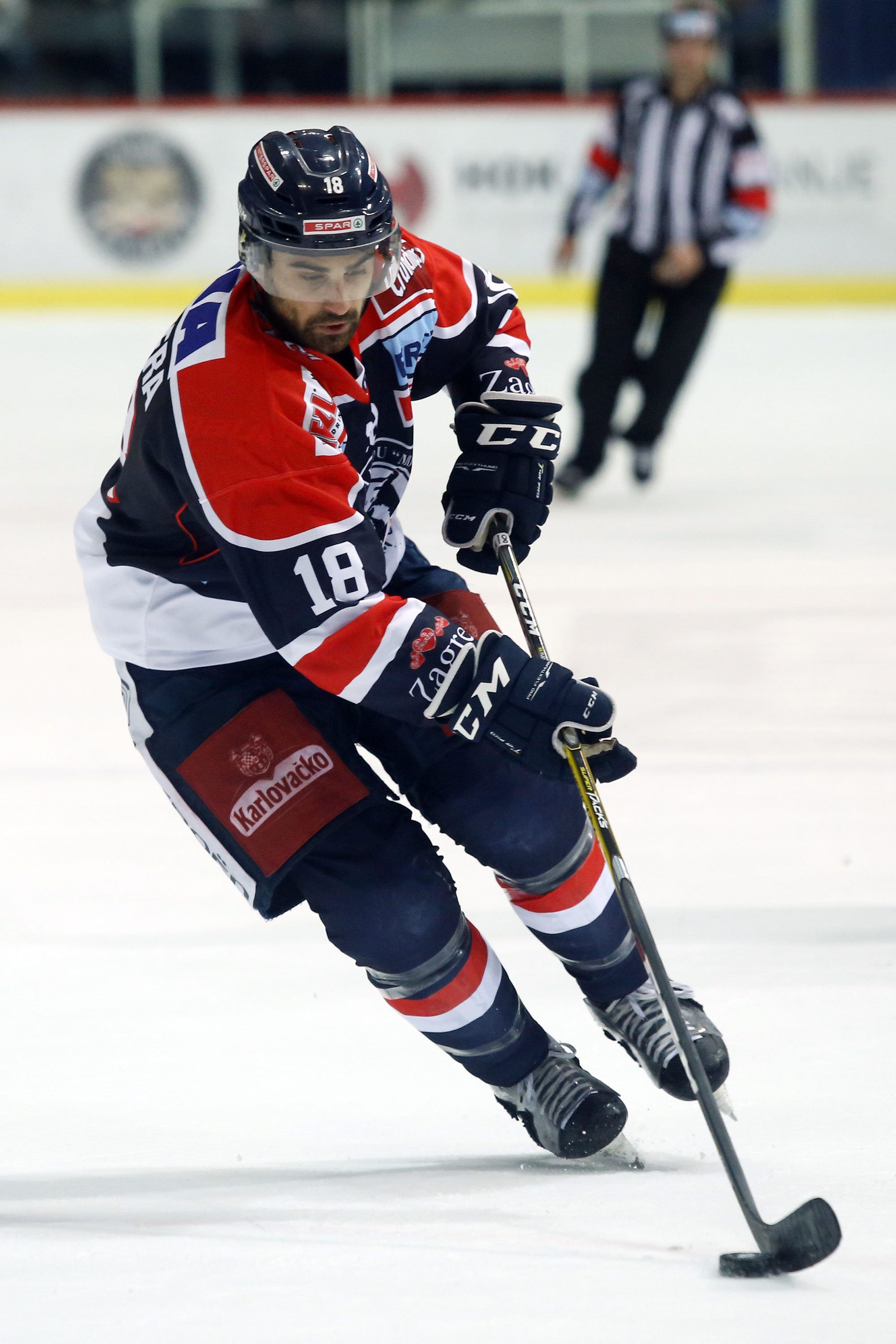 medvescak_linz10-081017