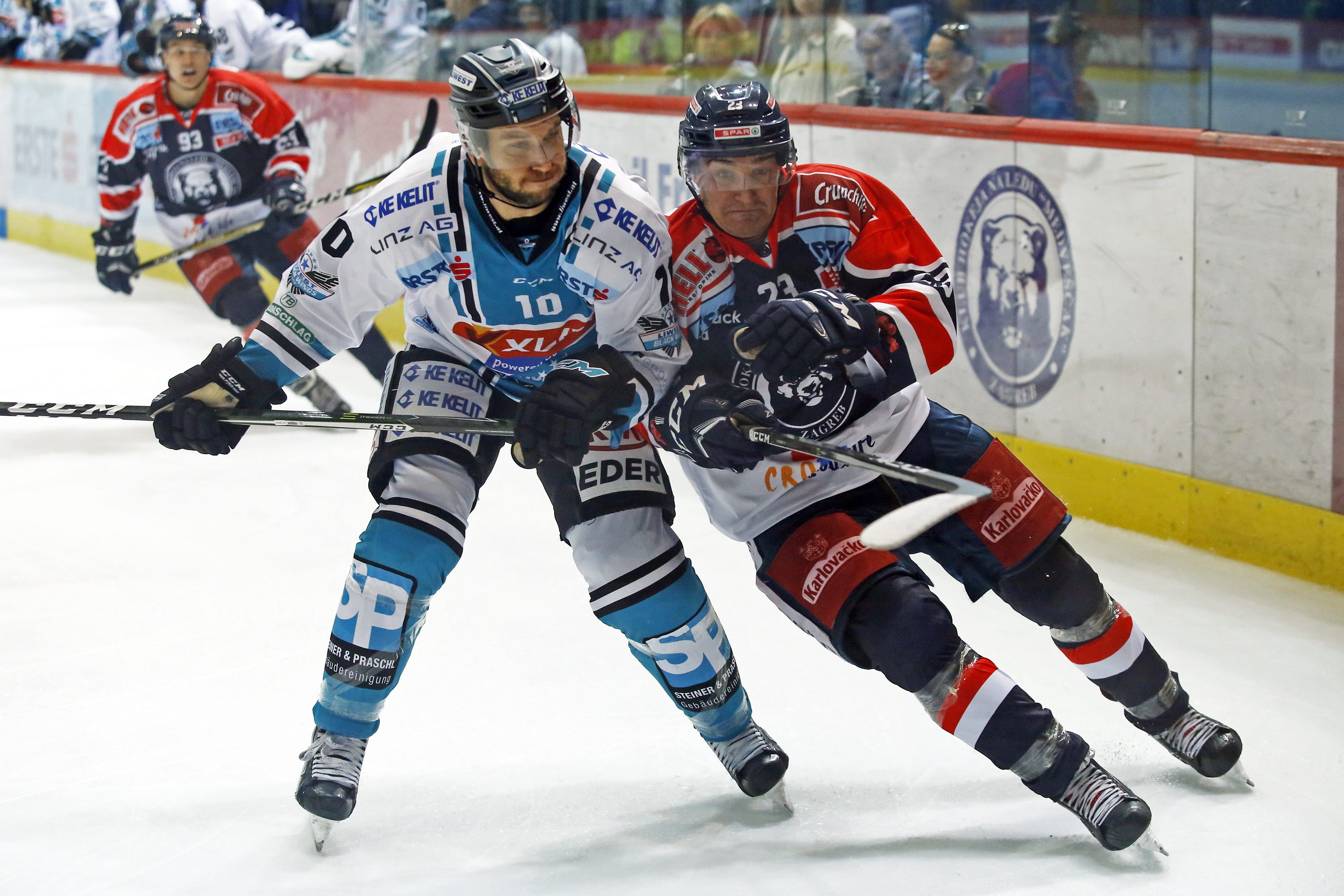 medvescak_linz14-081017