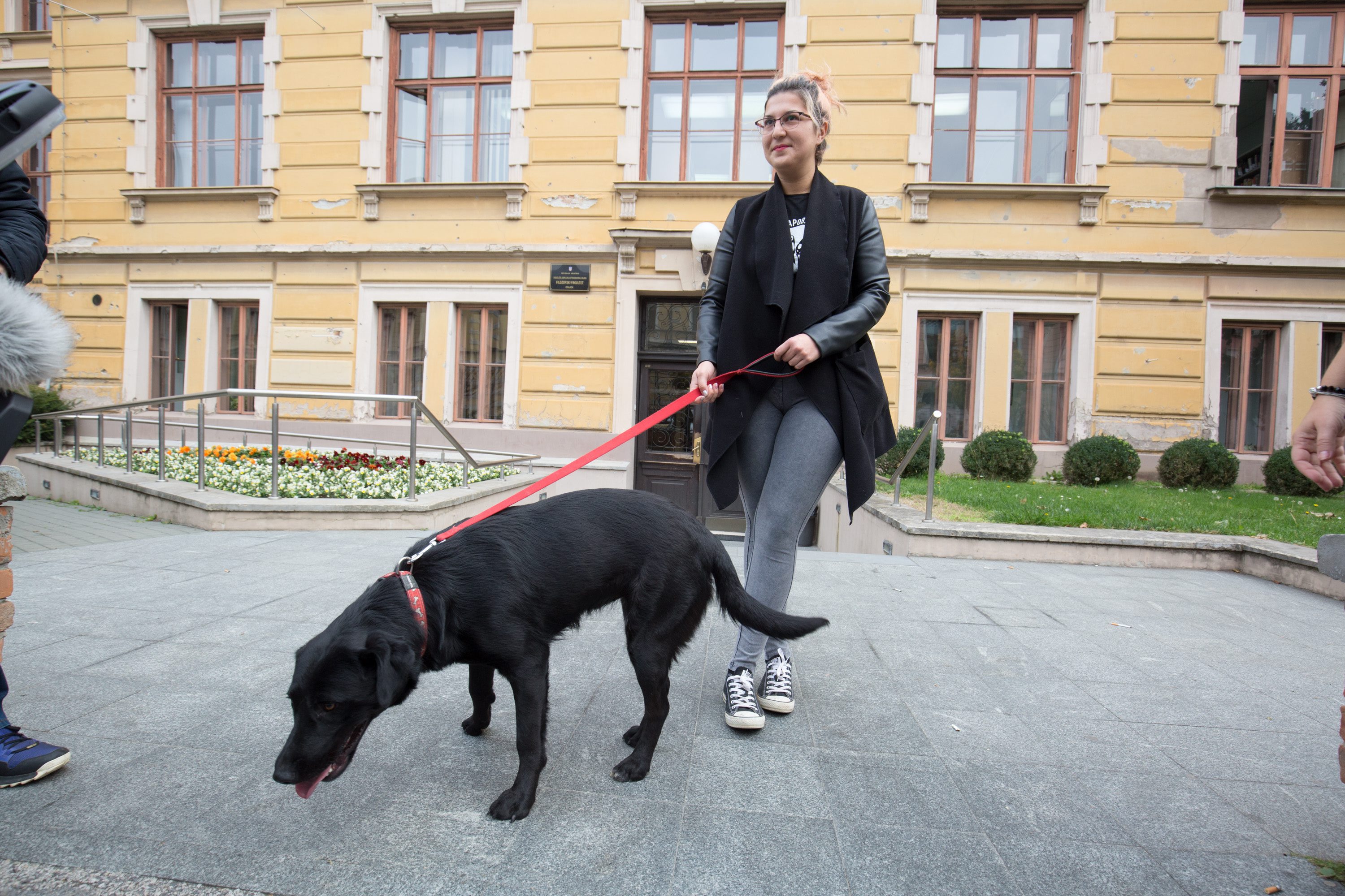 pas_fakultet1-091117