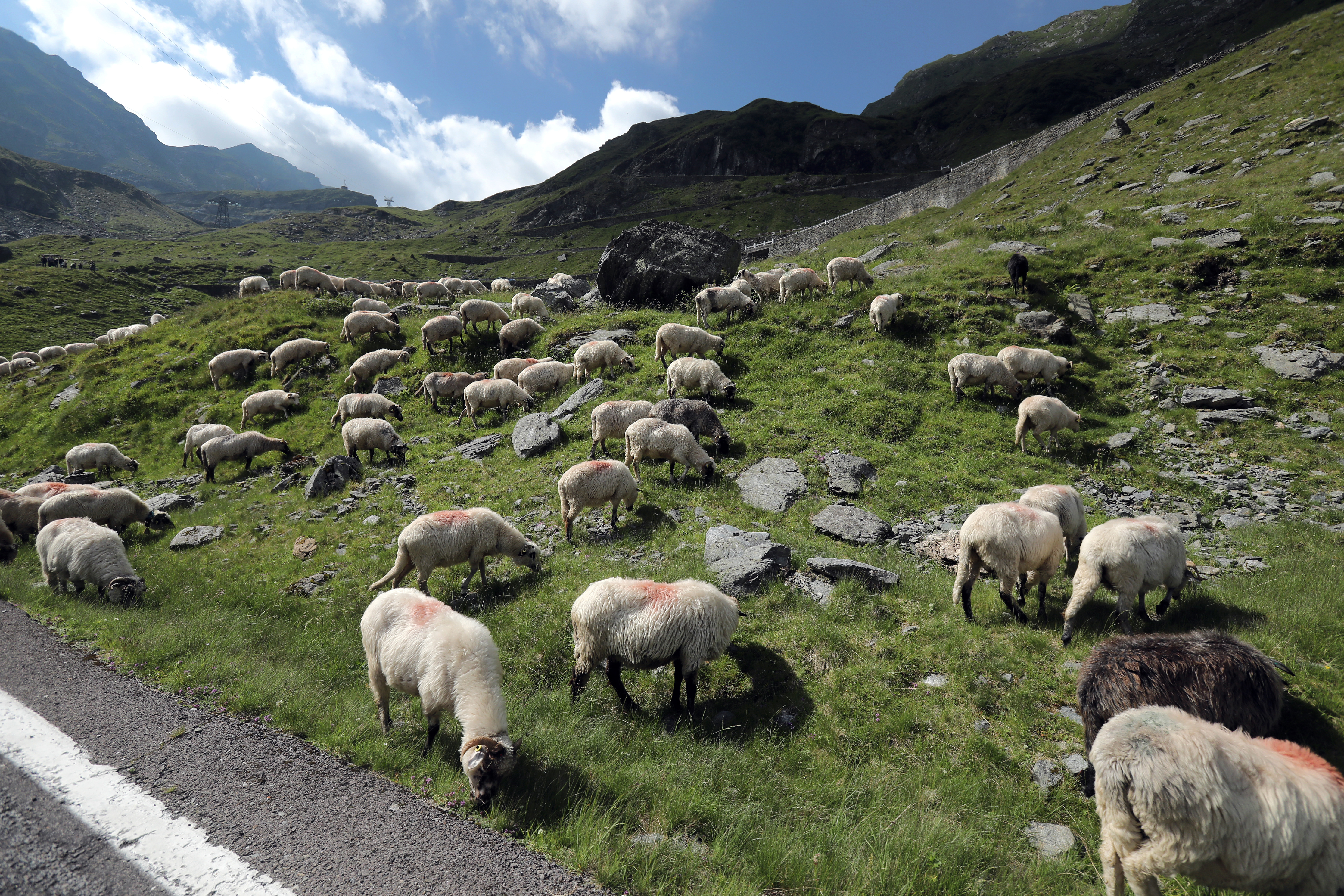 Mazda MX-5 Transfagarasan 11.07.2017 - 41