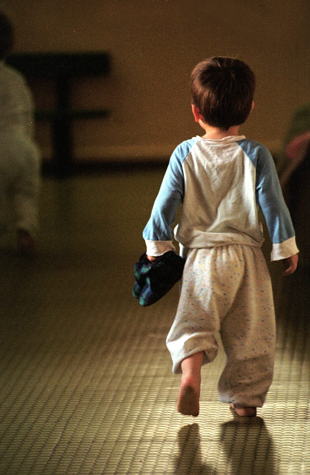 nazorova_dom2011-zag