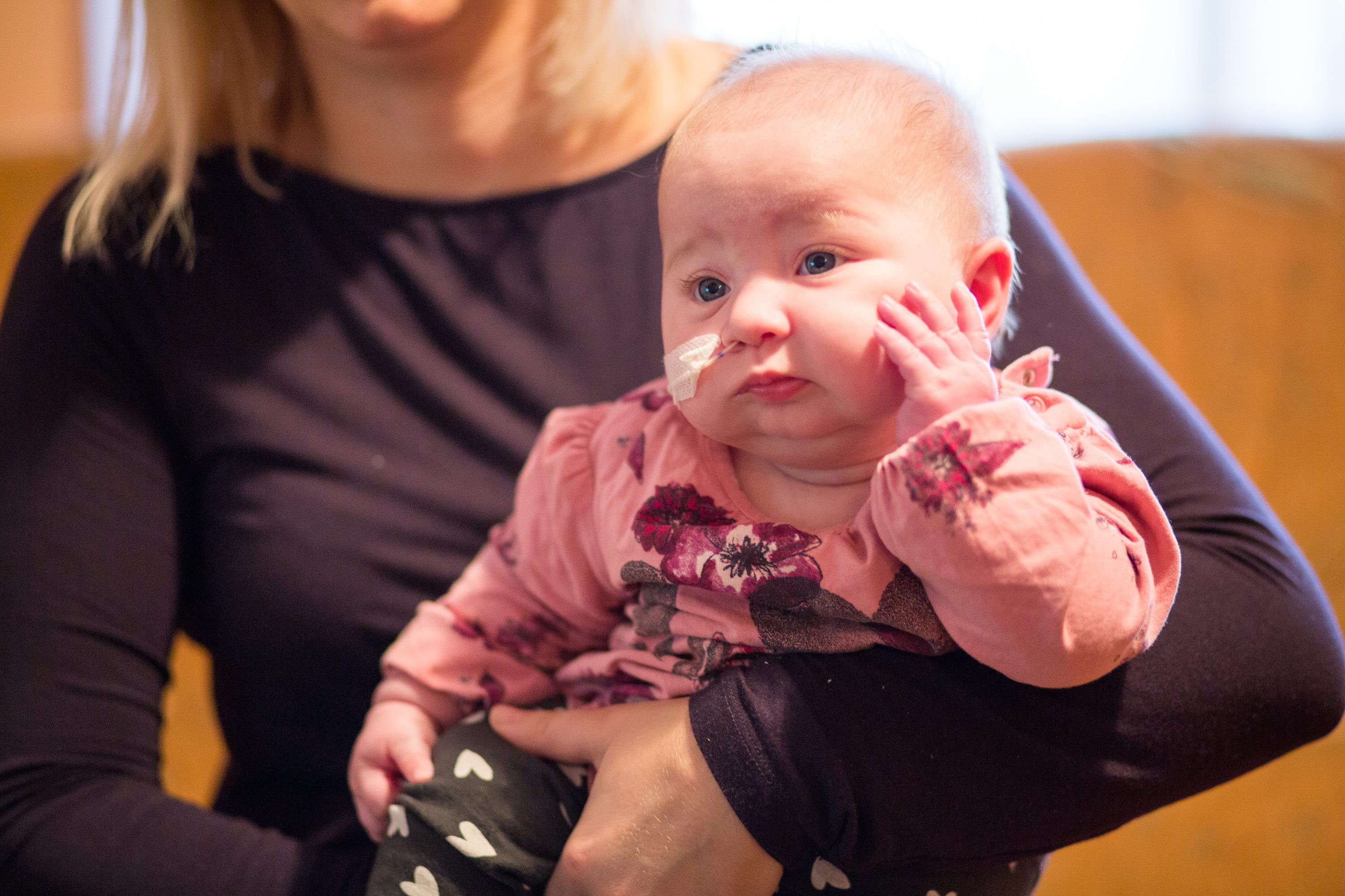 beba_celjust1-151117