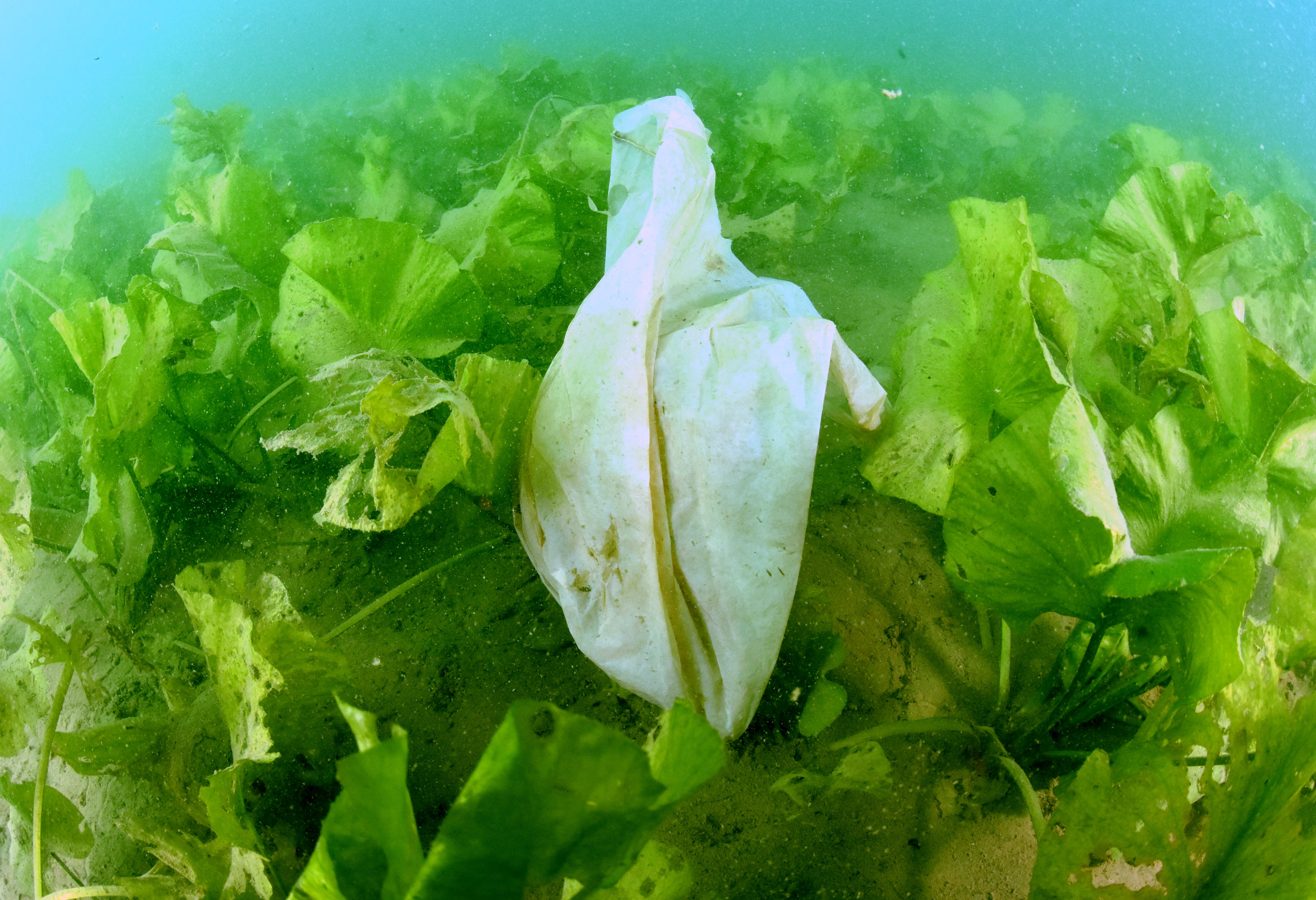 jarun_ciscenje1-051117