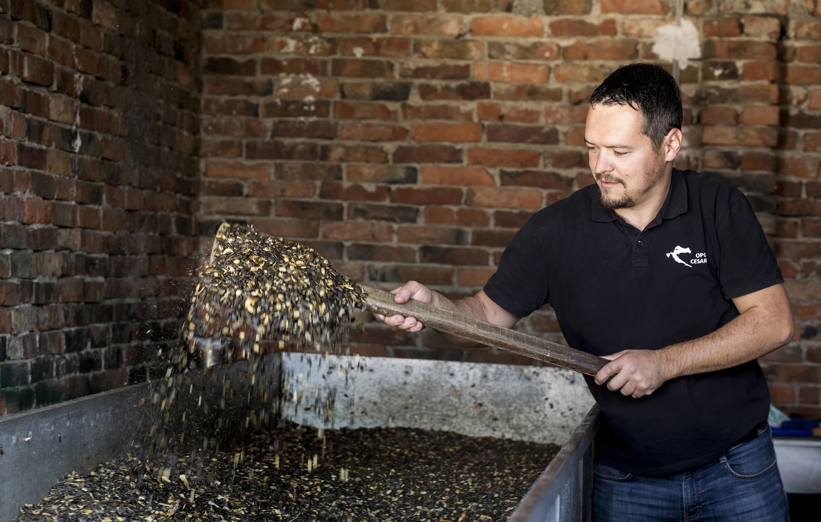 cesarec_buce_ulje14-171017