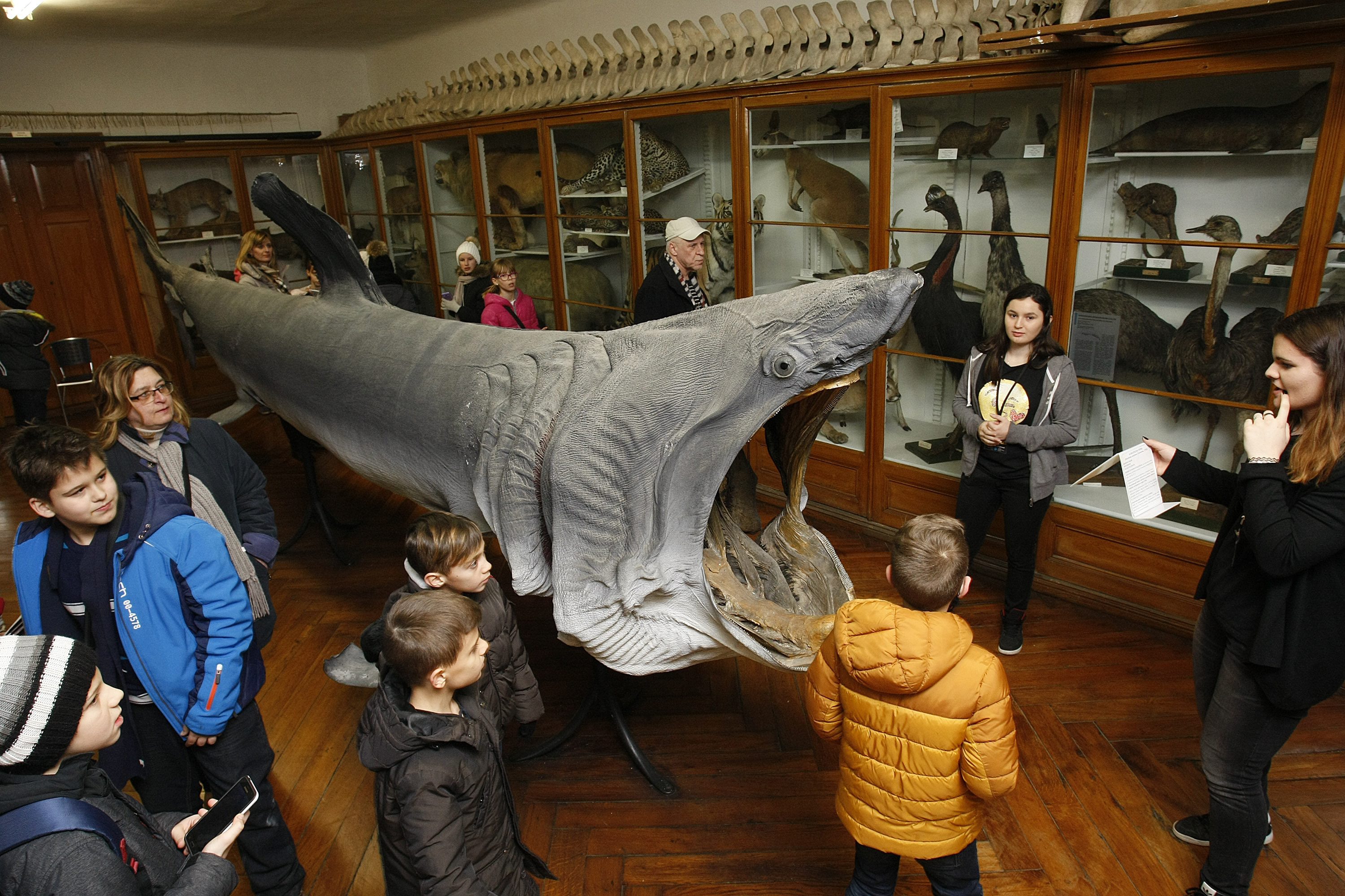 prirodoslovni_muzej6-270117