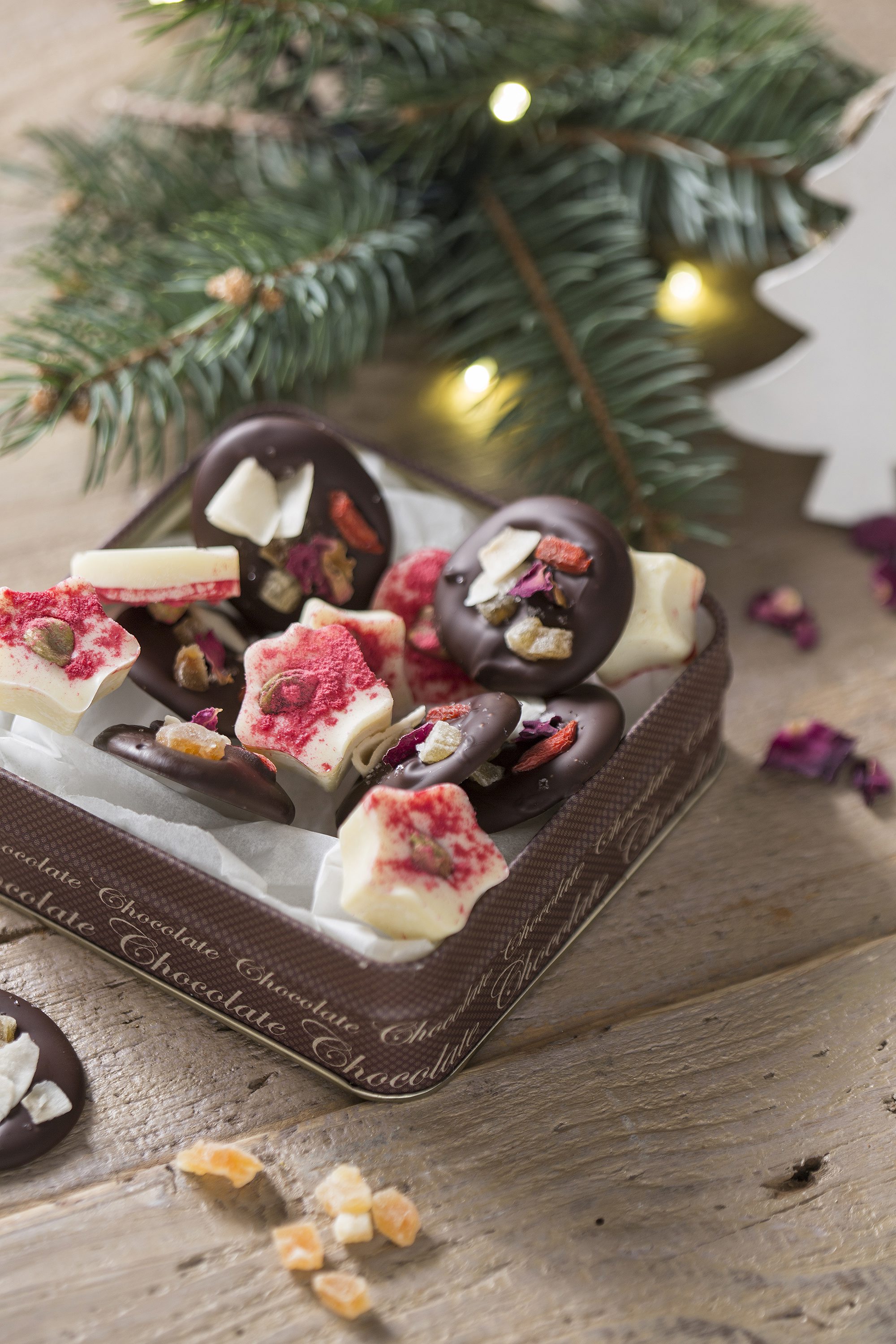 petric_bozic3-291117