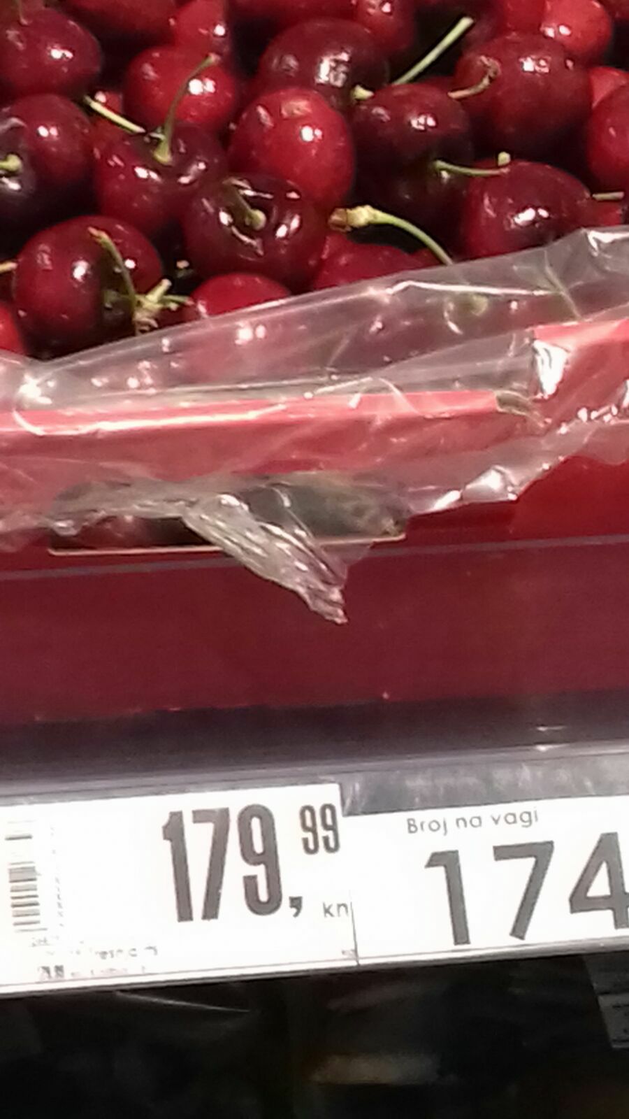 25440225_705588706313482_6972692708077435535_o